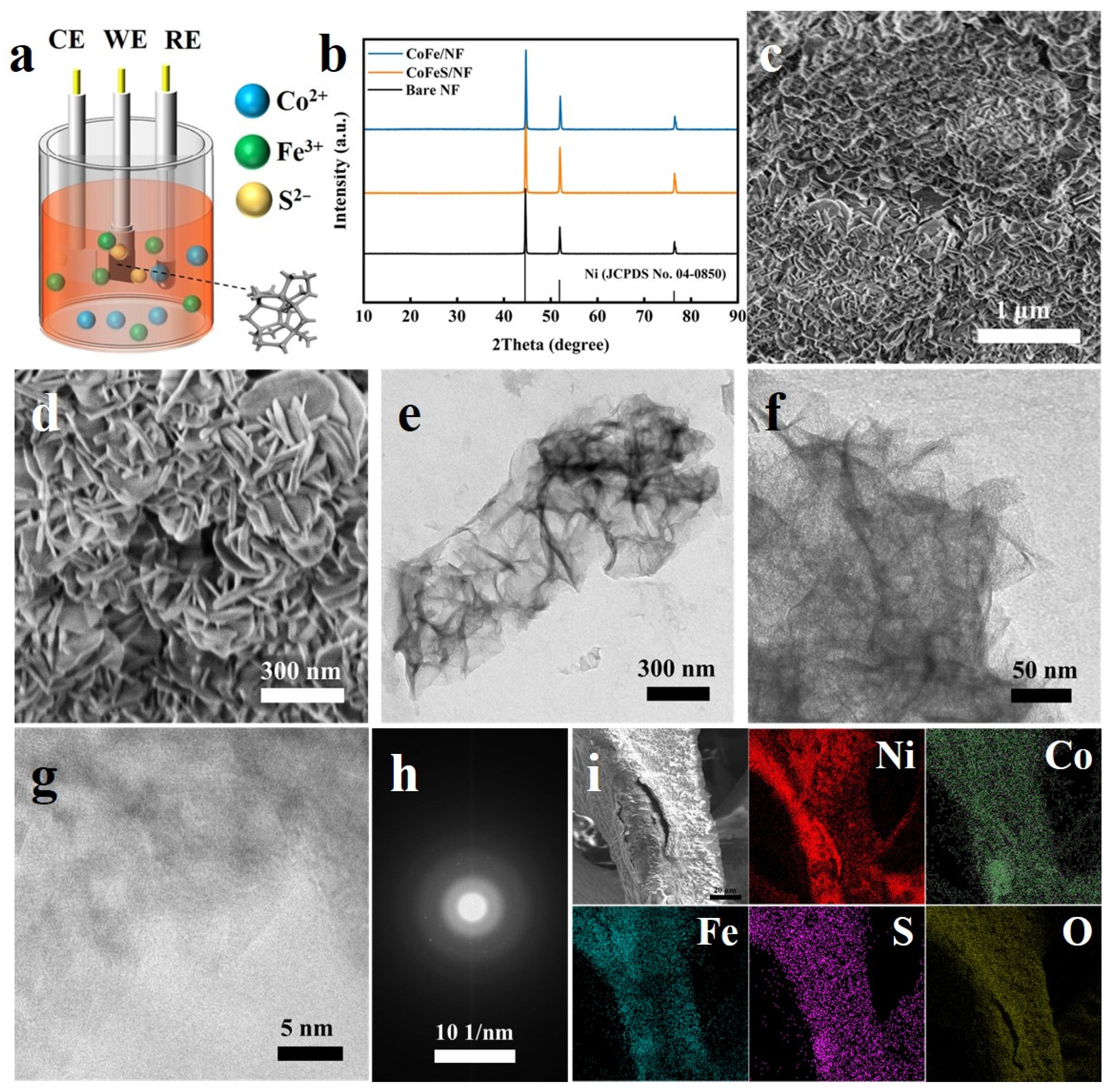 Catalysts 15 00285 g001