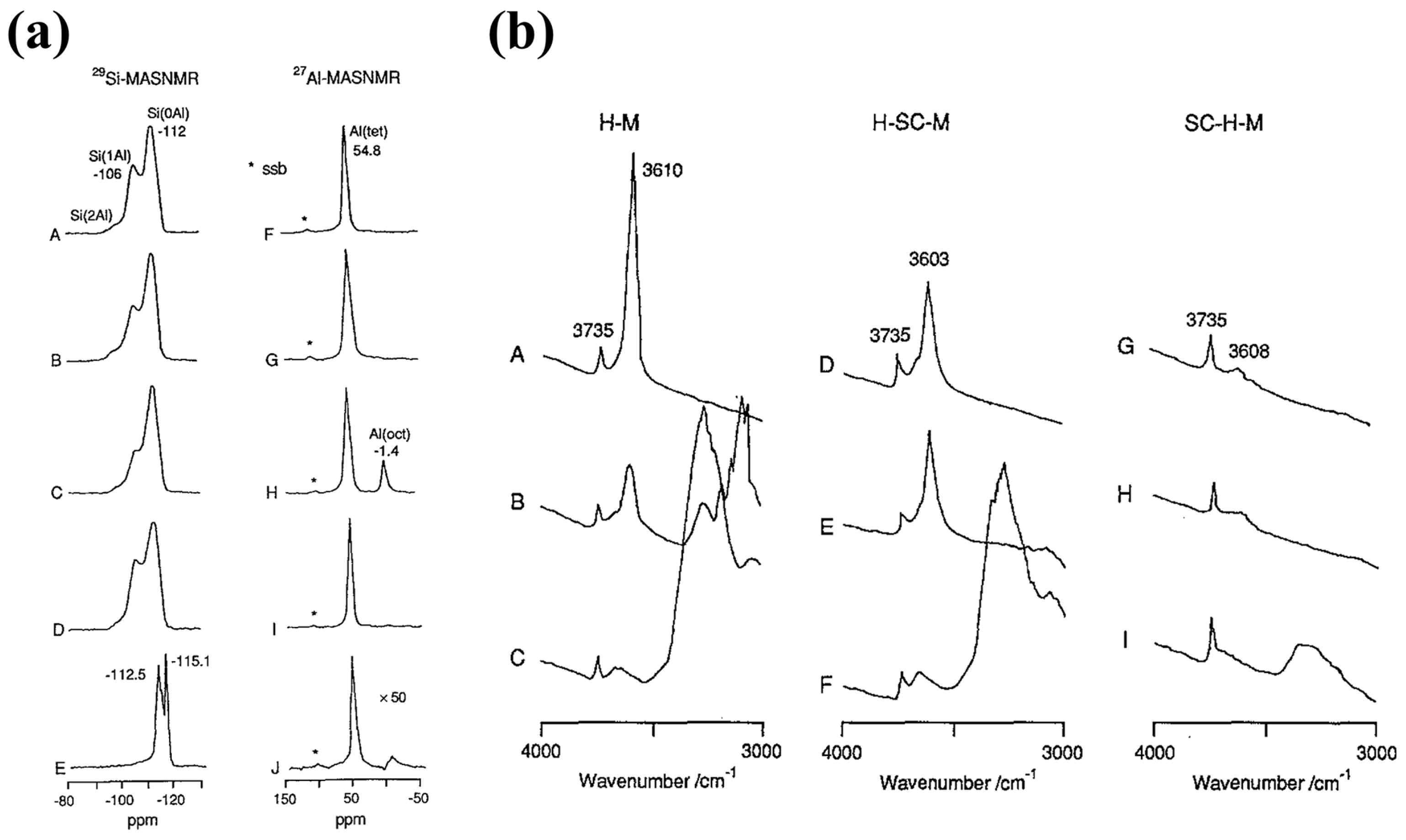 Catalysts 15 00294 g004