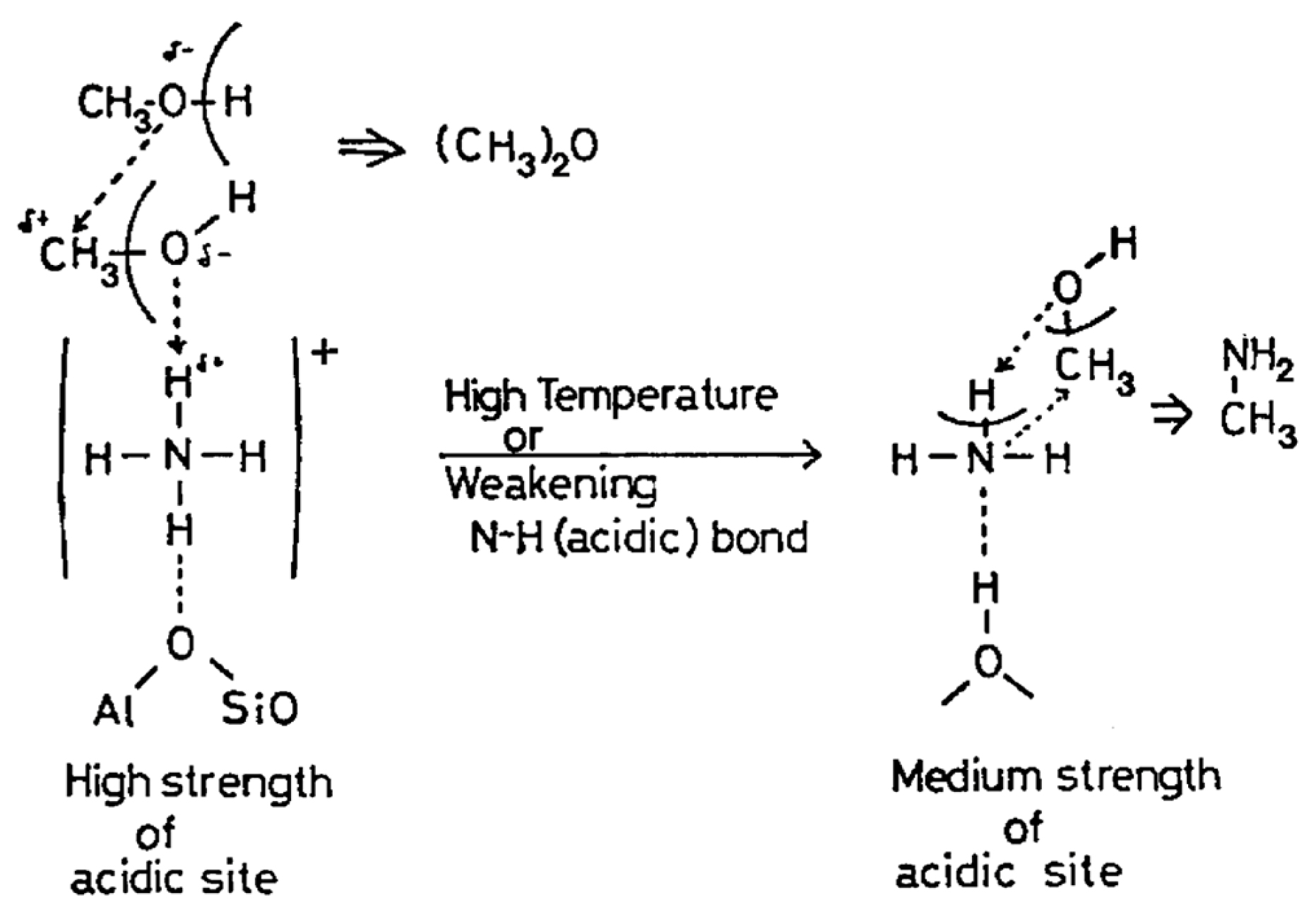 Catalysts 15 00294 g005