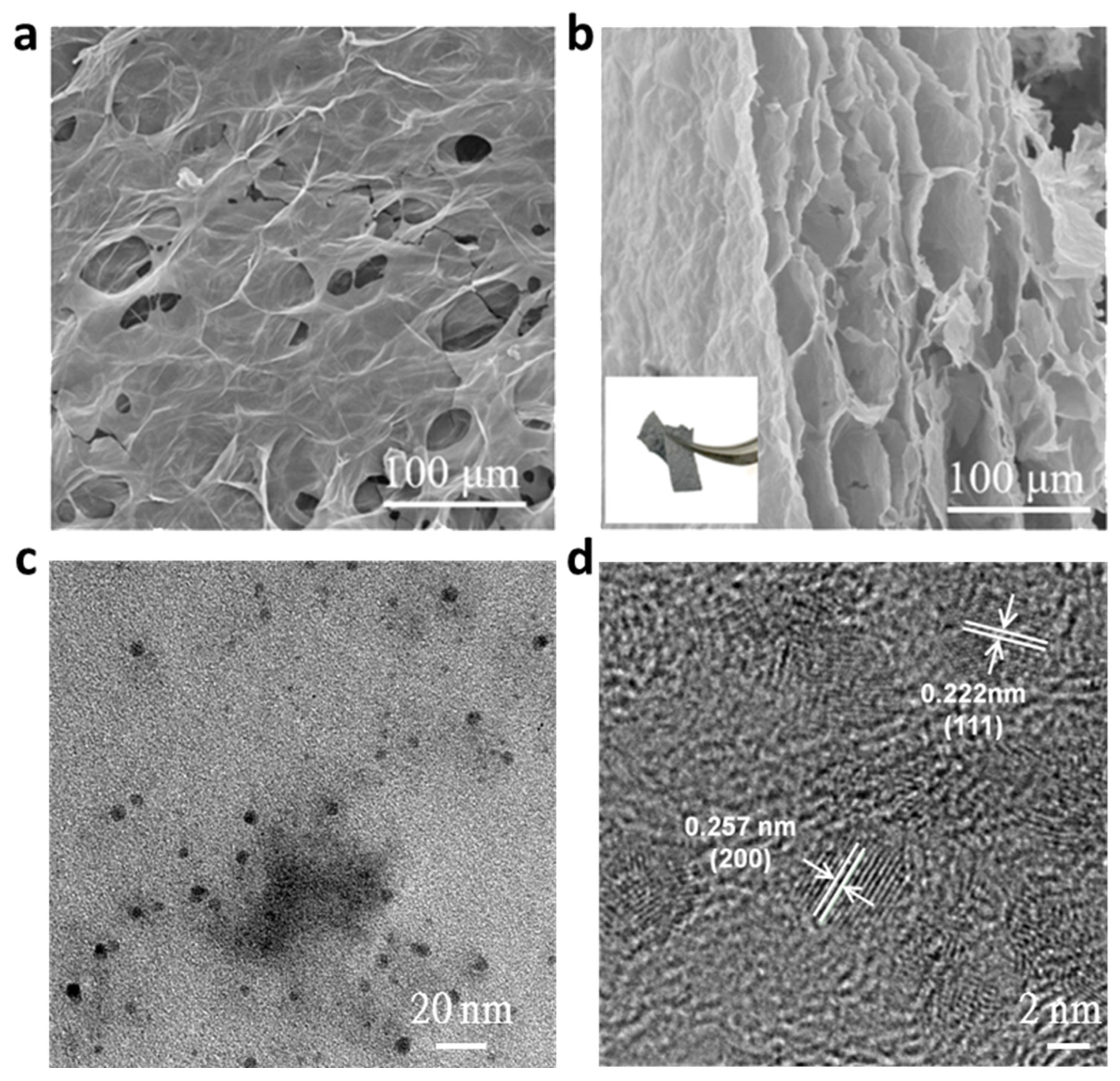 Catalysts 15 00298 g002