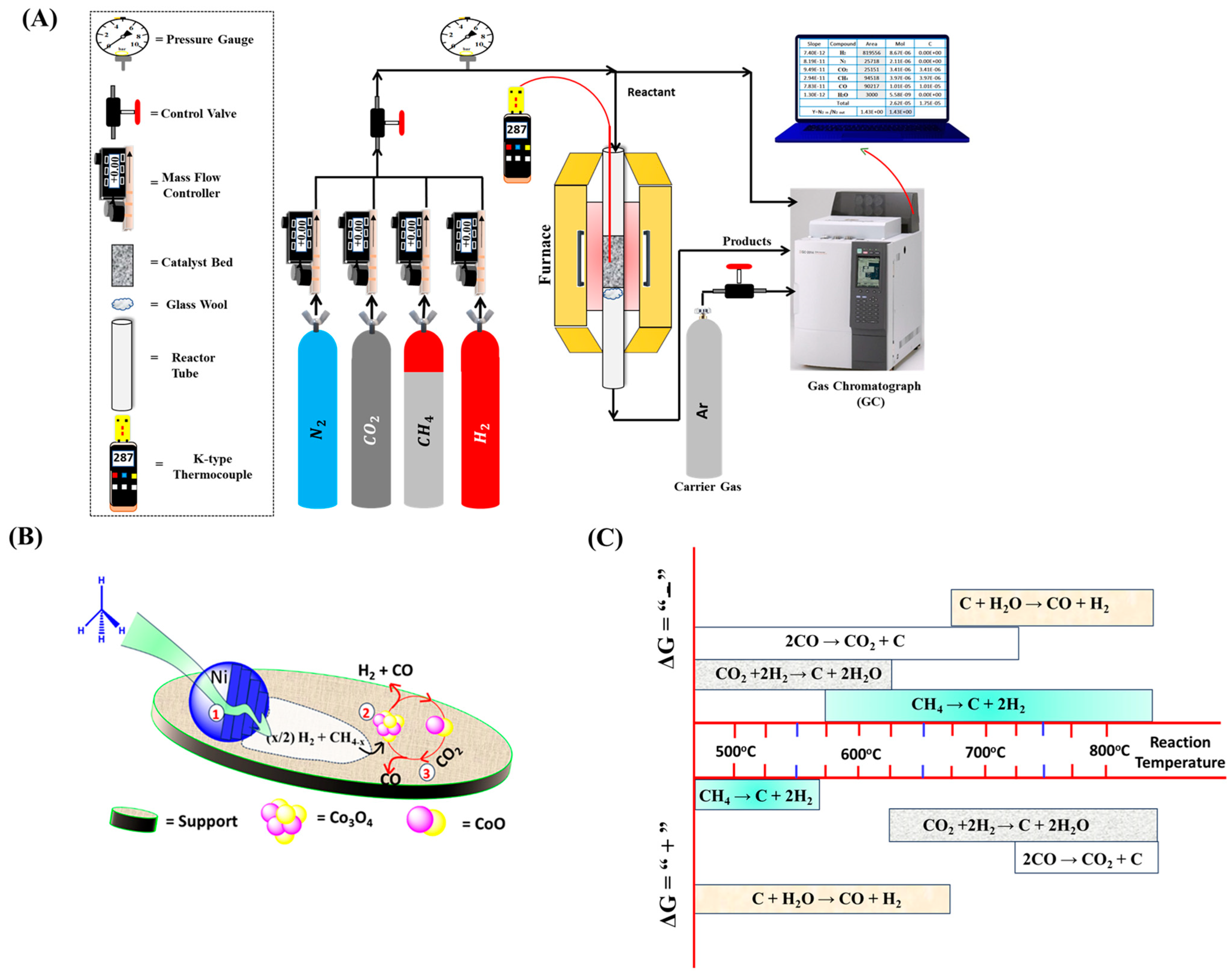 Catalysts 15 00300 g001