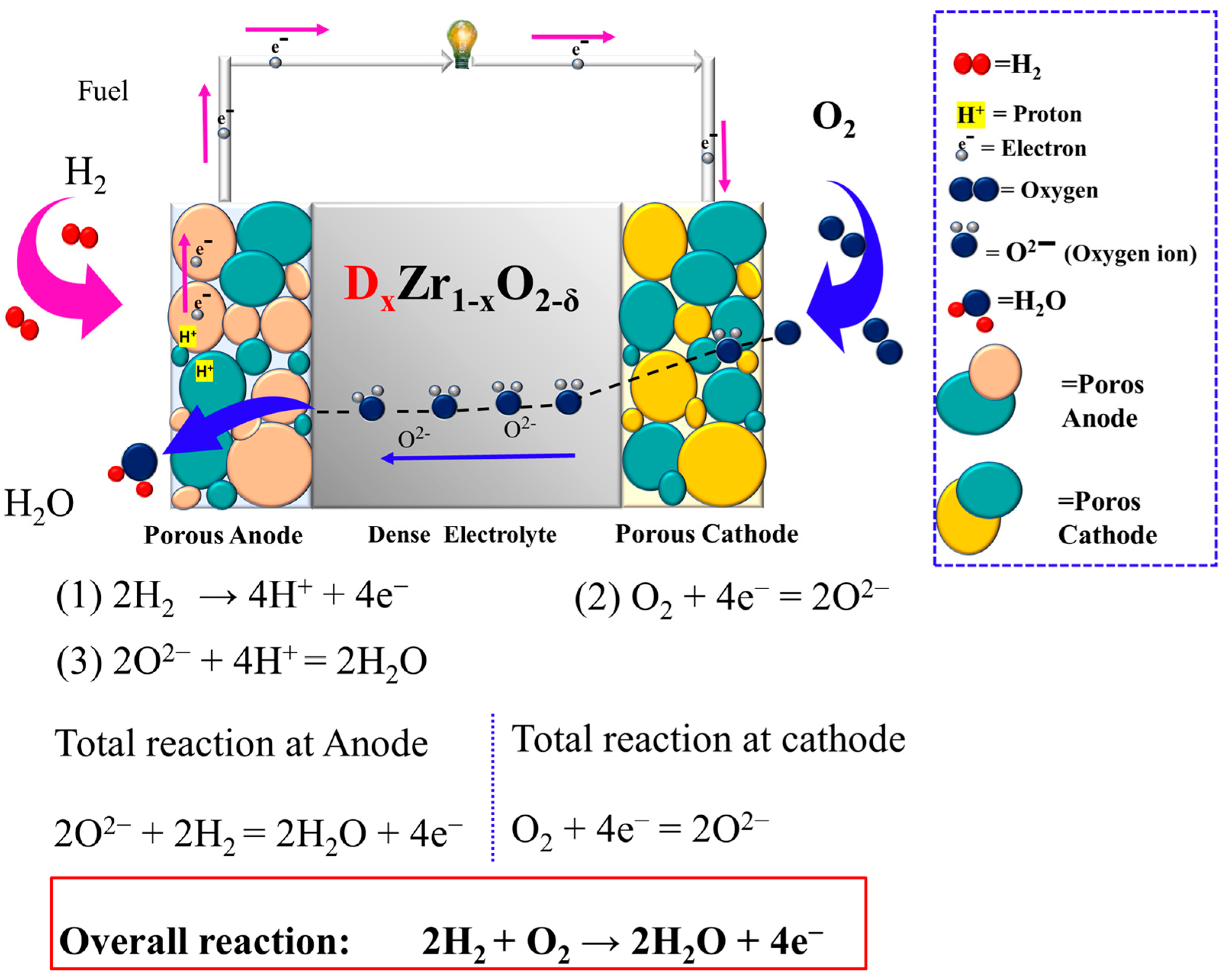 Catalysts 15 00300 g002