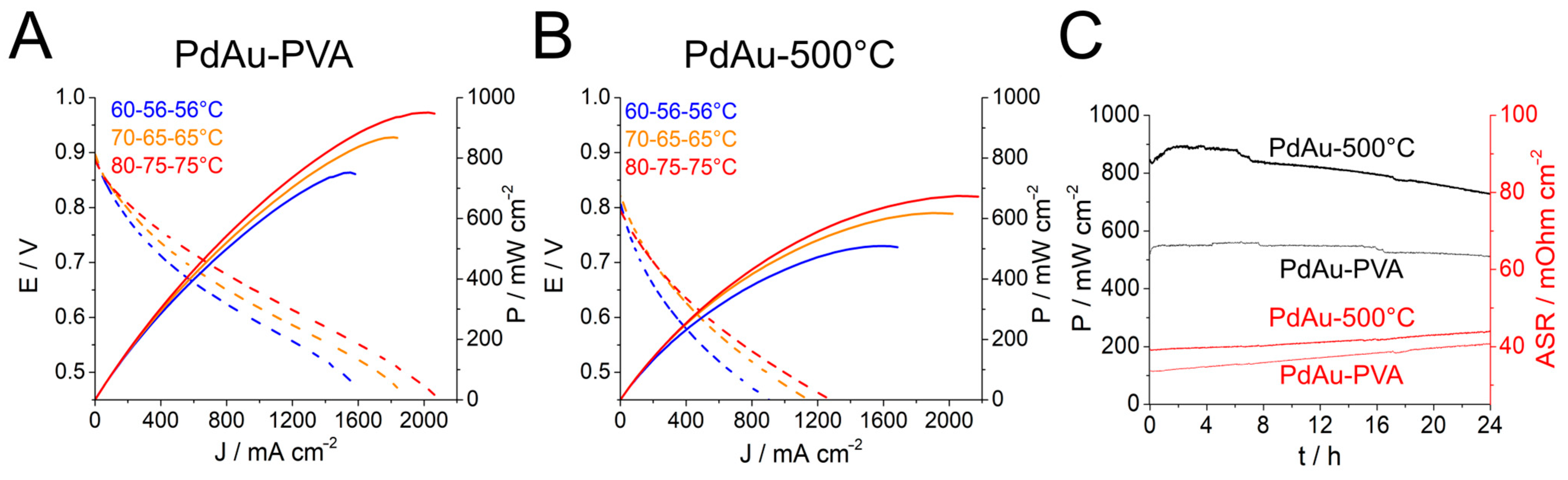 Catalysts 15 00306 g007