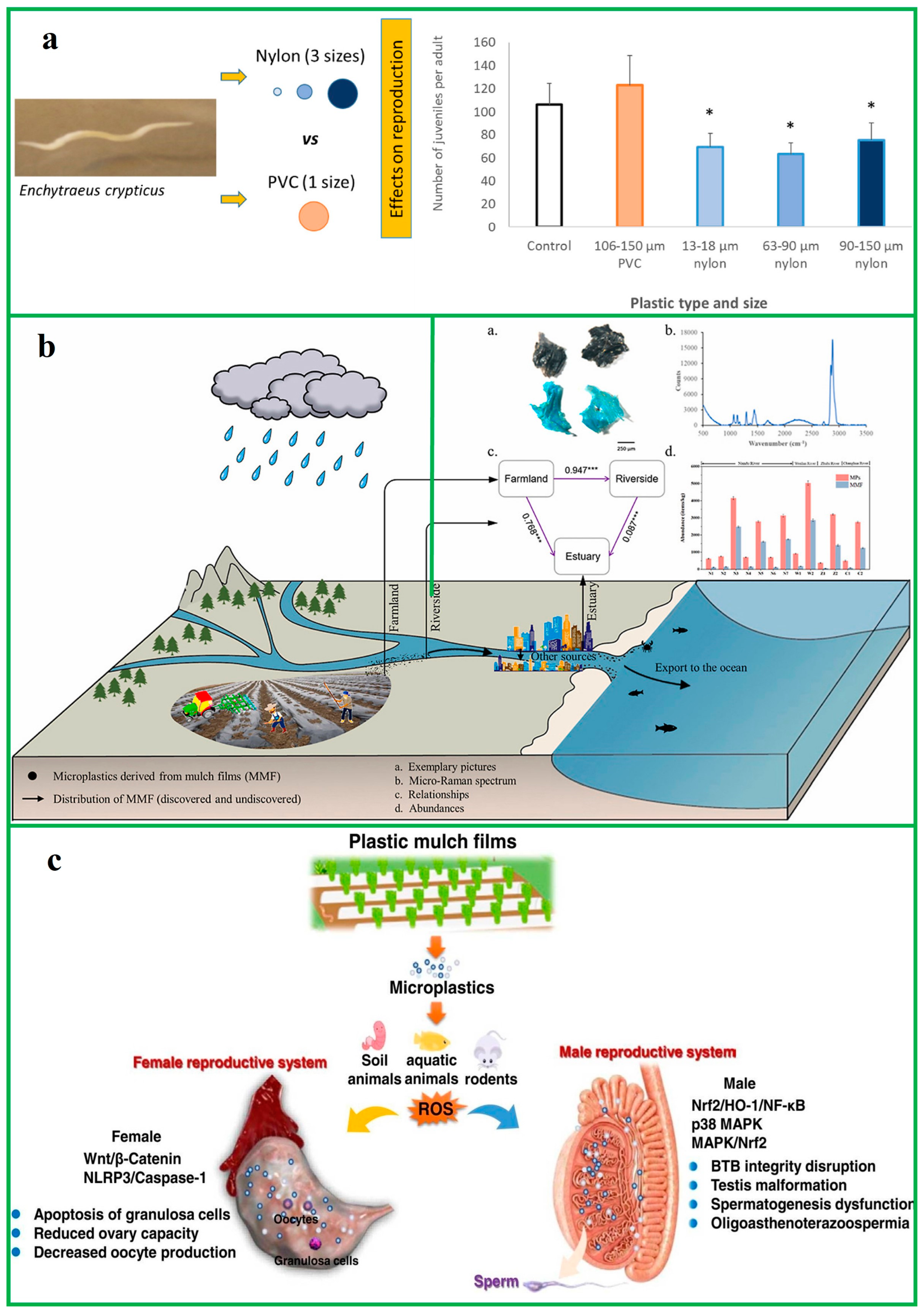 Catalysts 15 00310 g001