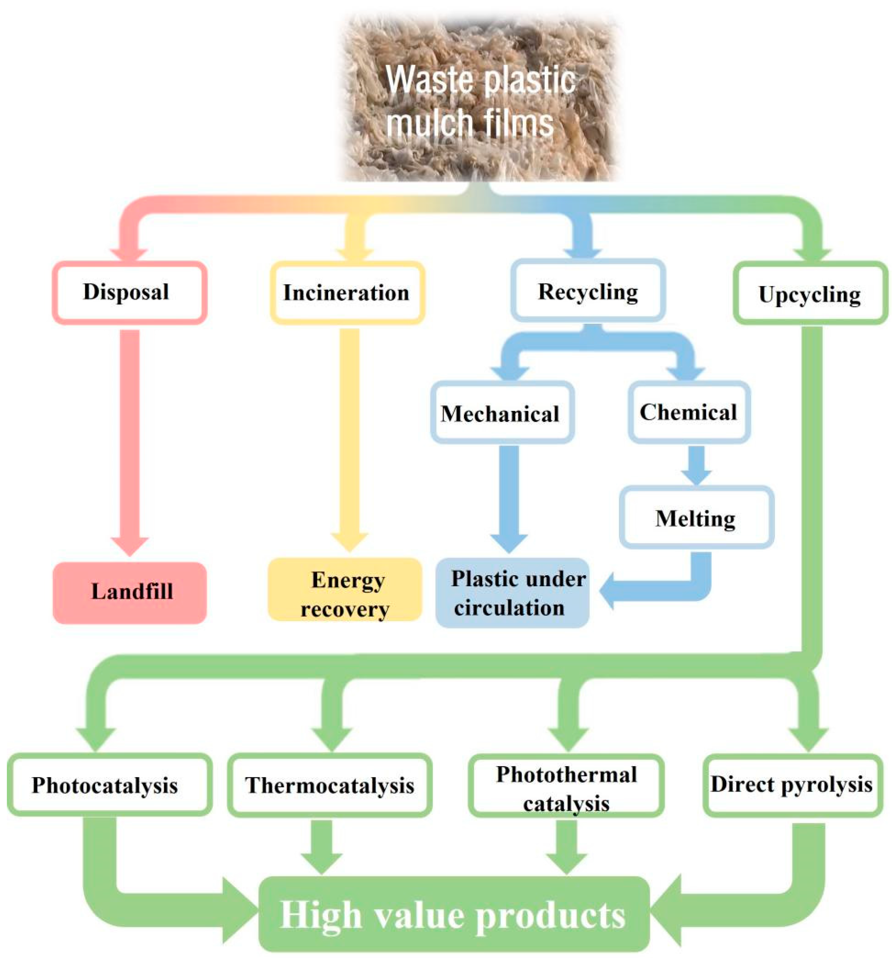 Catalysts 15 00310 g002