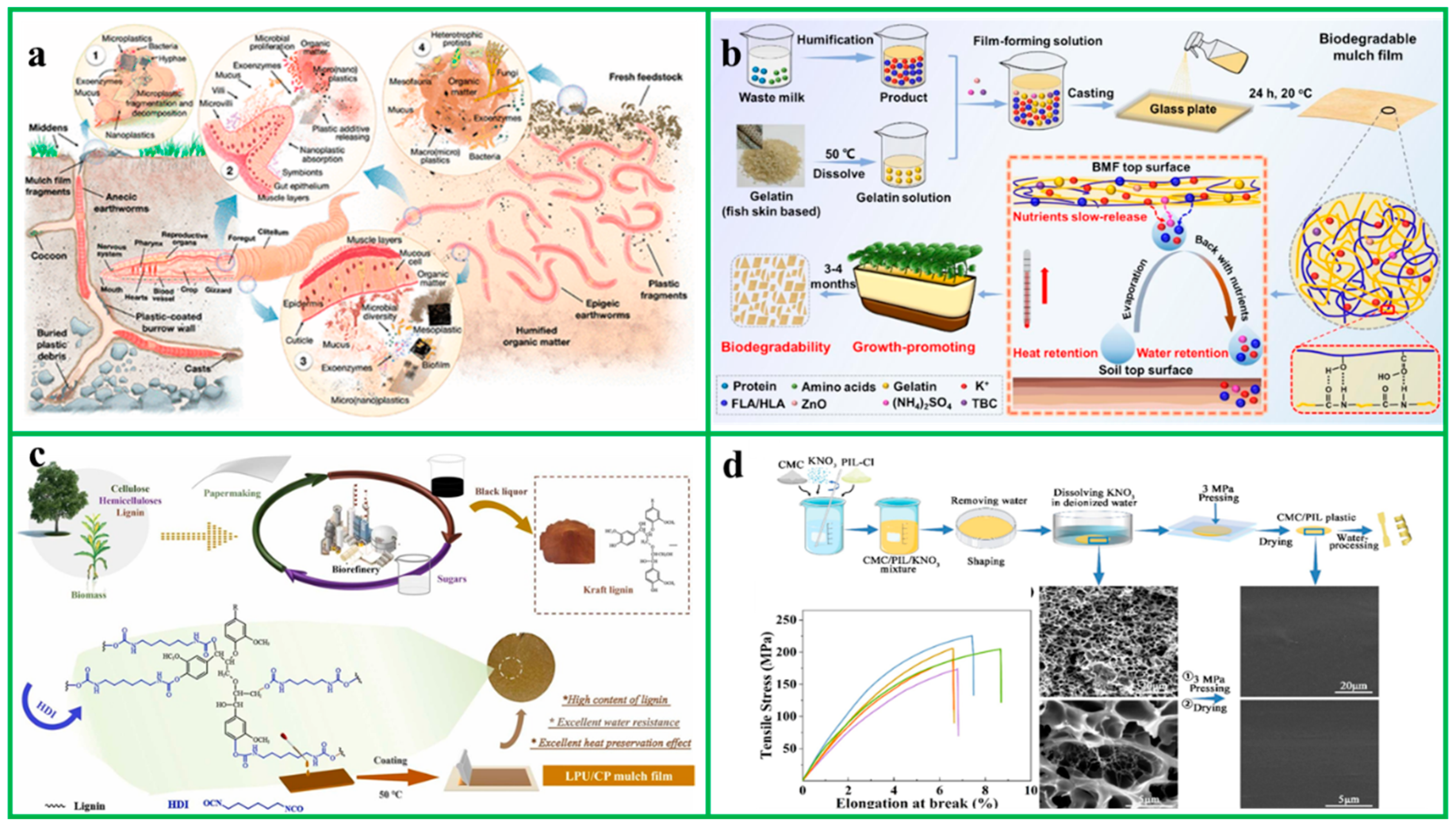 Catalysts 15 00310 g007