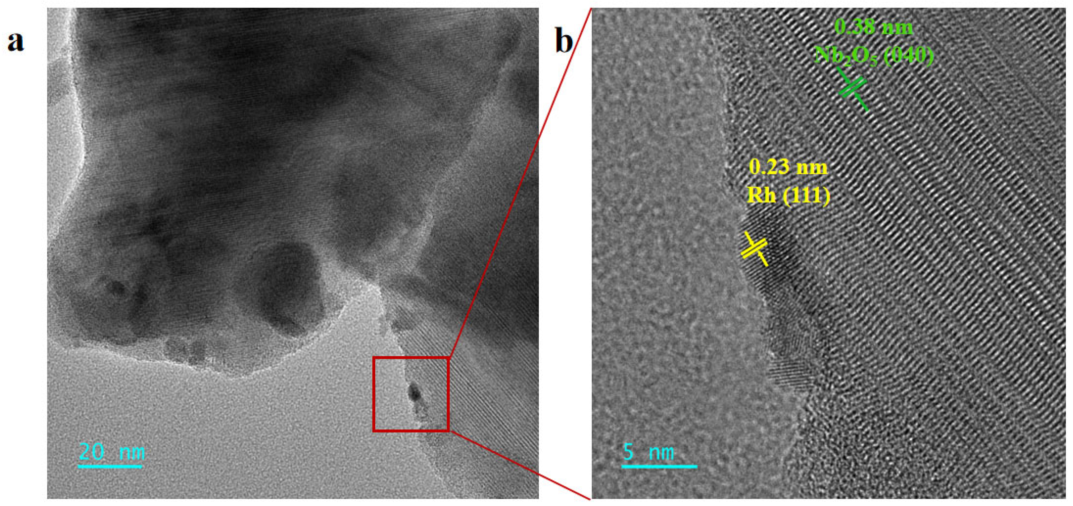 Catalysts 15 00312 g002