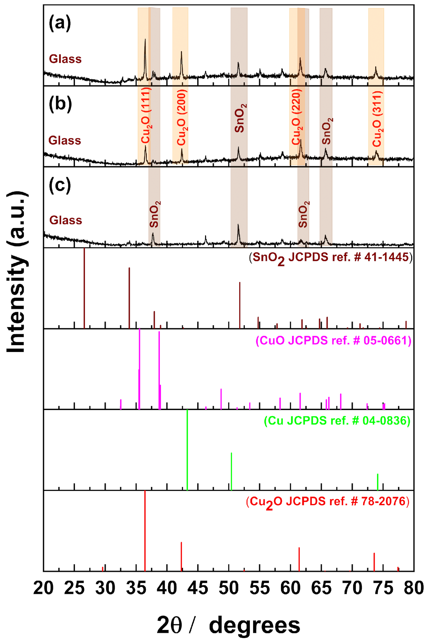 Catalysts 15 00313 g002