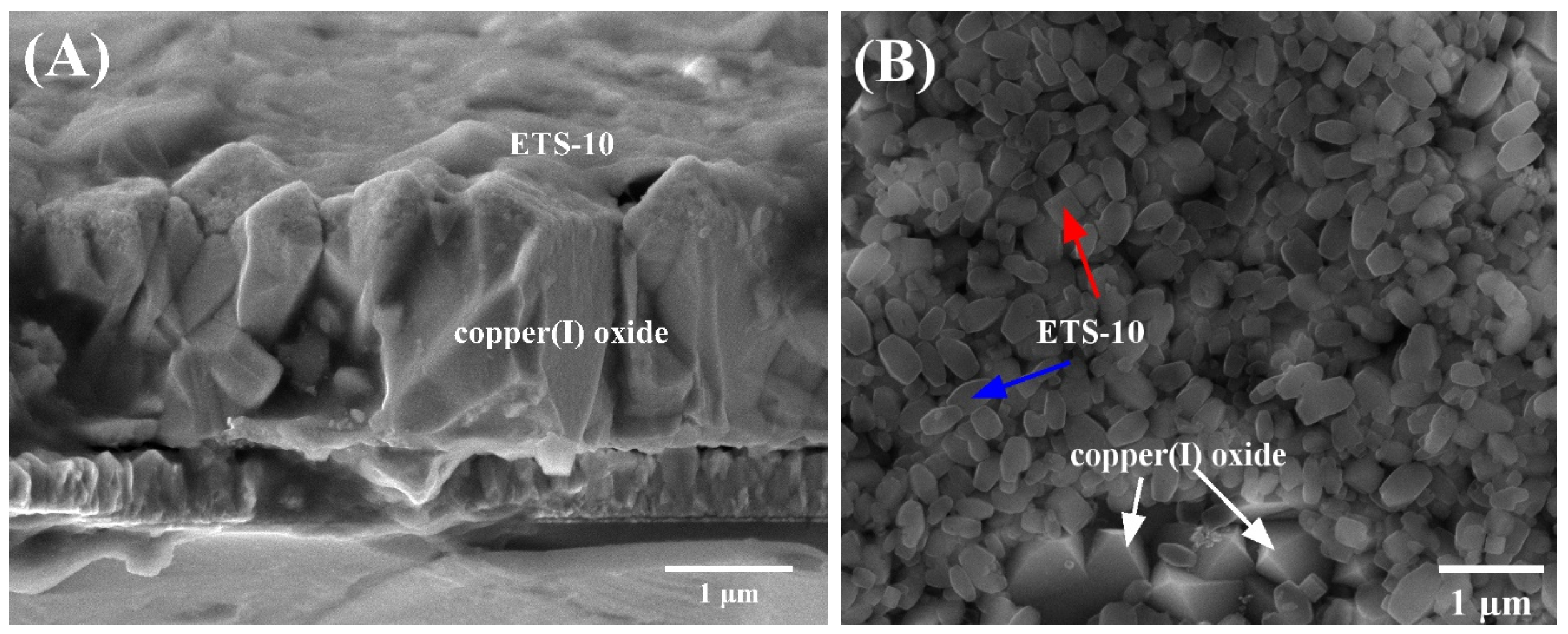 Catalysts 15 00313 g004