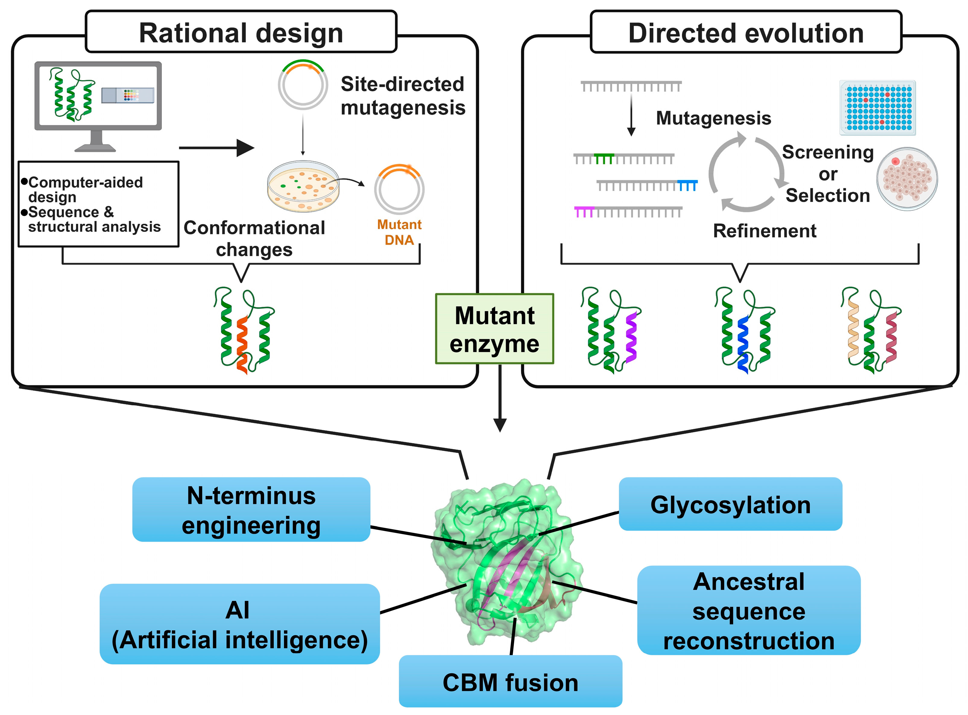 Catalysts 15 00317 g001