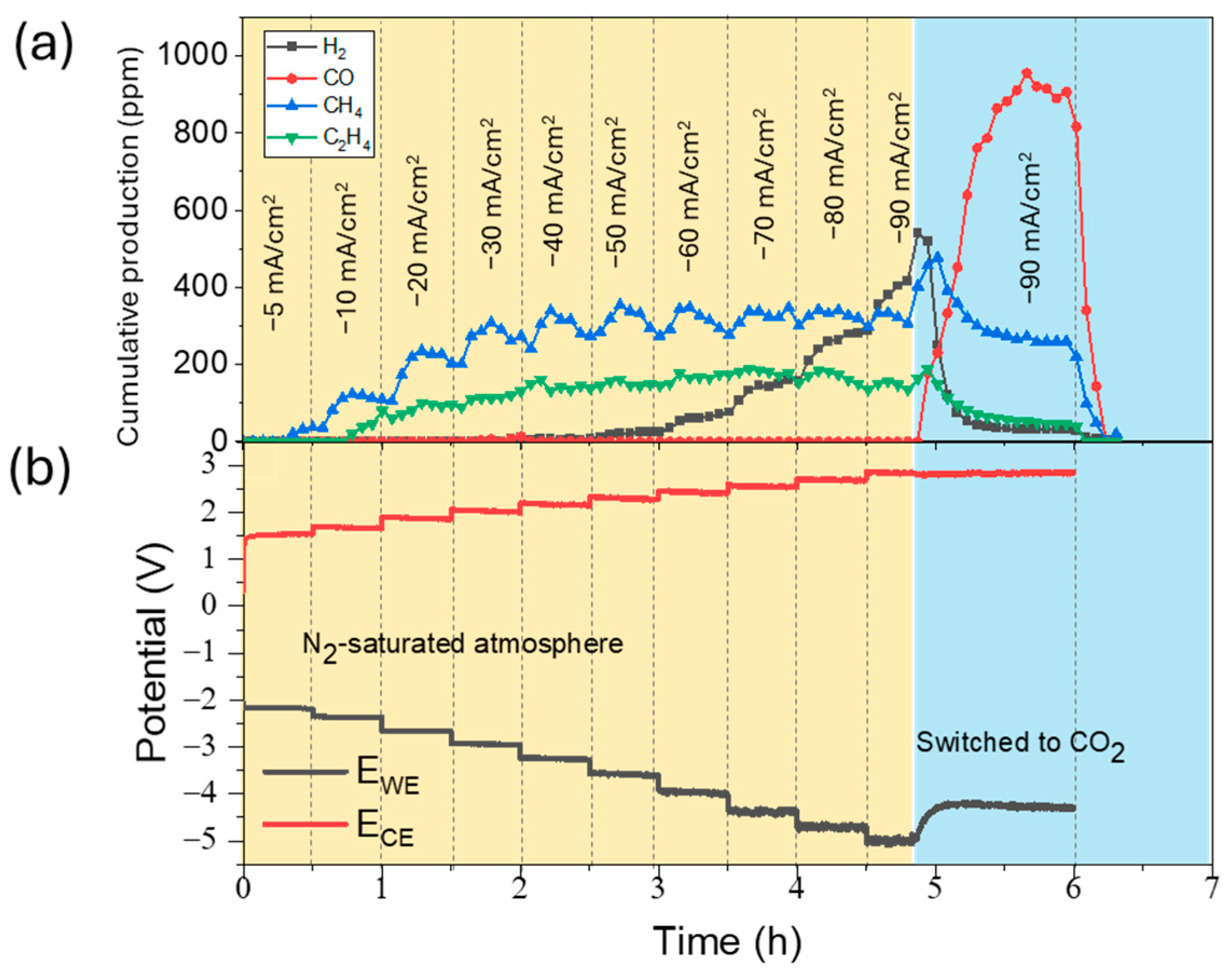 Catalysts 15 00318 g004