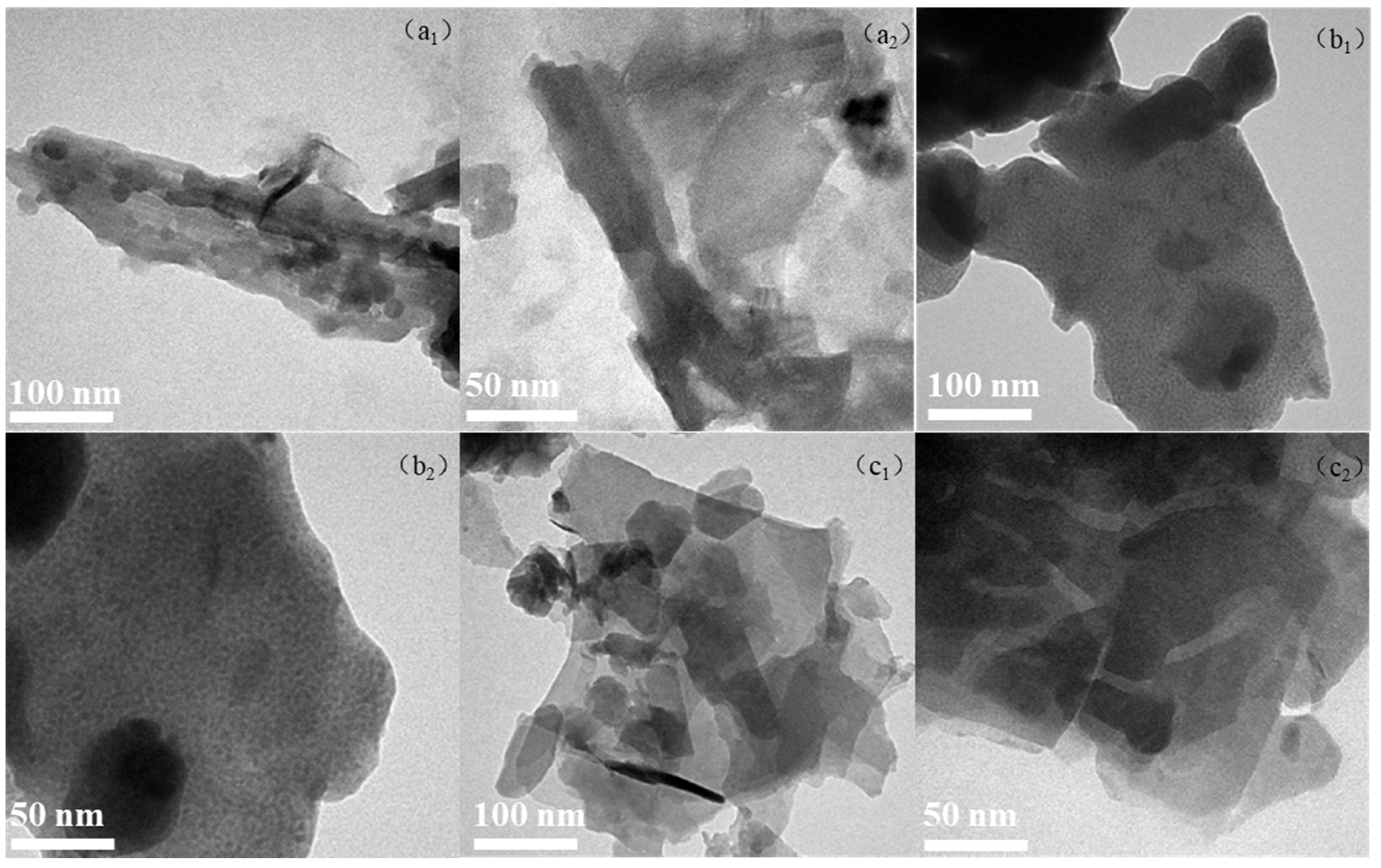 Catalysts 15 00322 g002