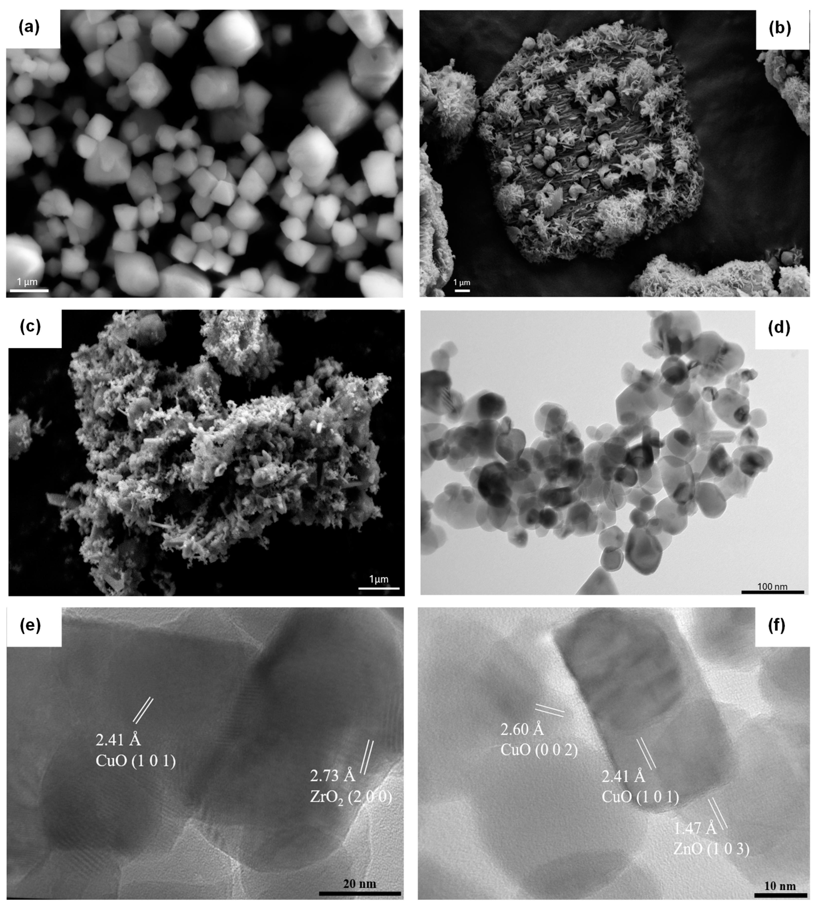 Catalysts 15 00324 g003