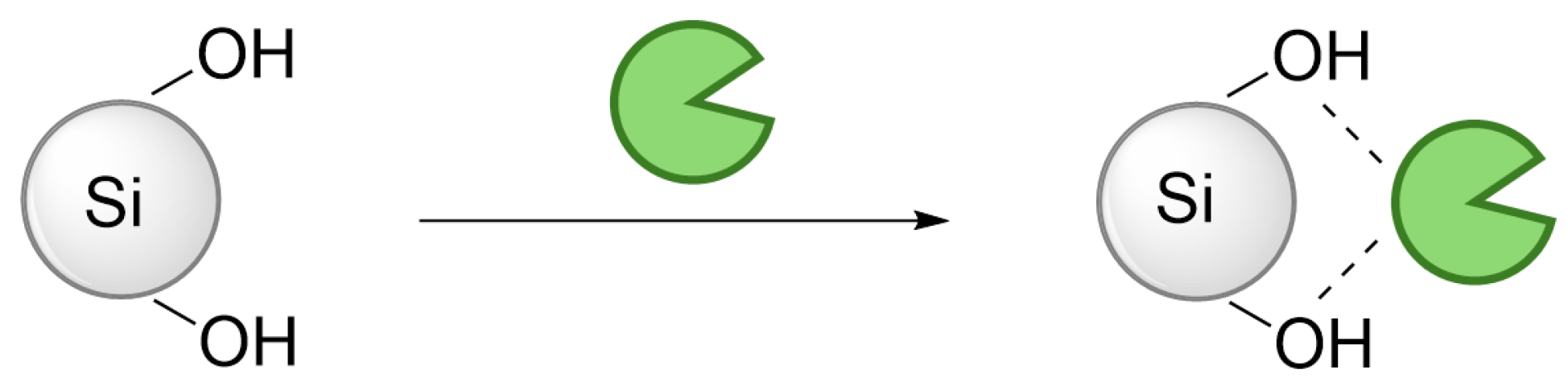 Catalysts 15 00326 sch002