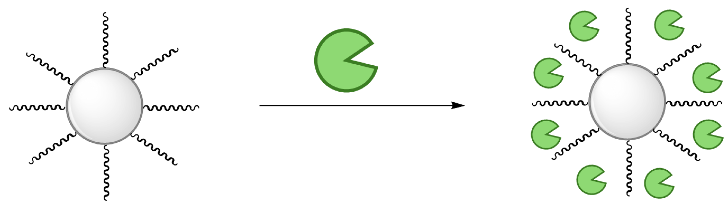 Catalysts 15 00326 sch003