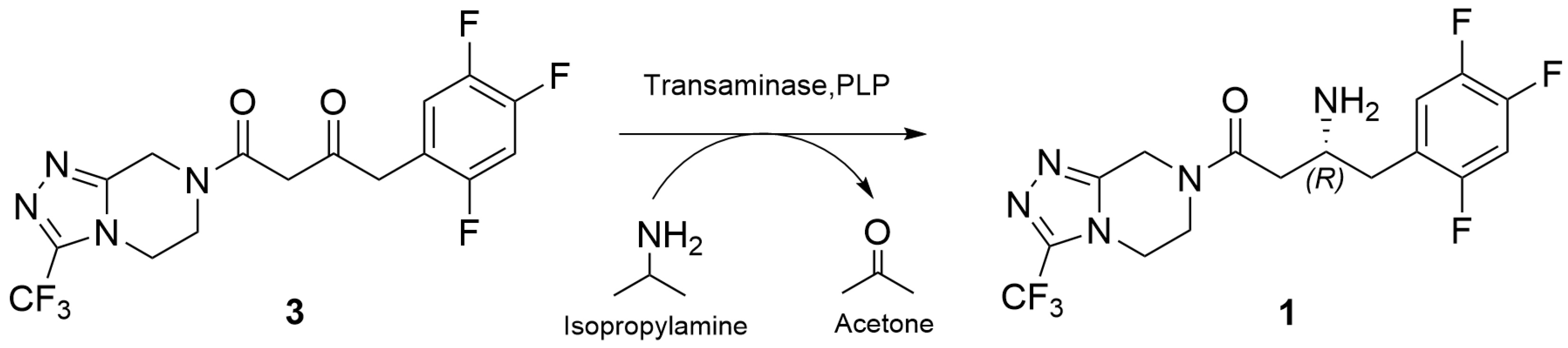 Catalysts 15 00326 sch007