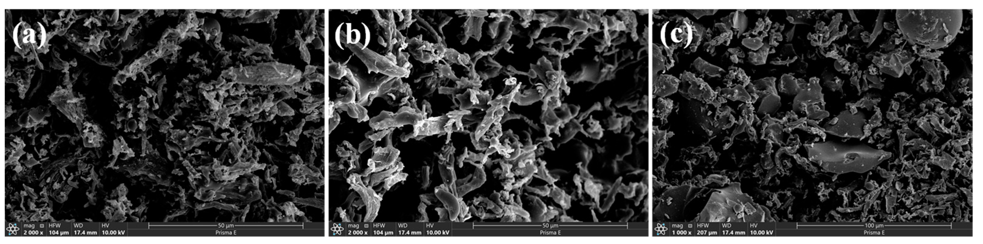 Catalysts 15 00327 g001