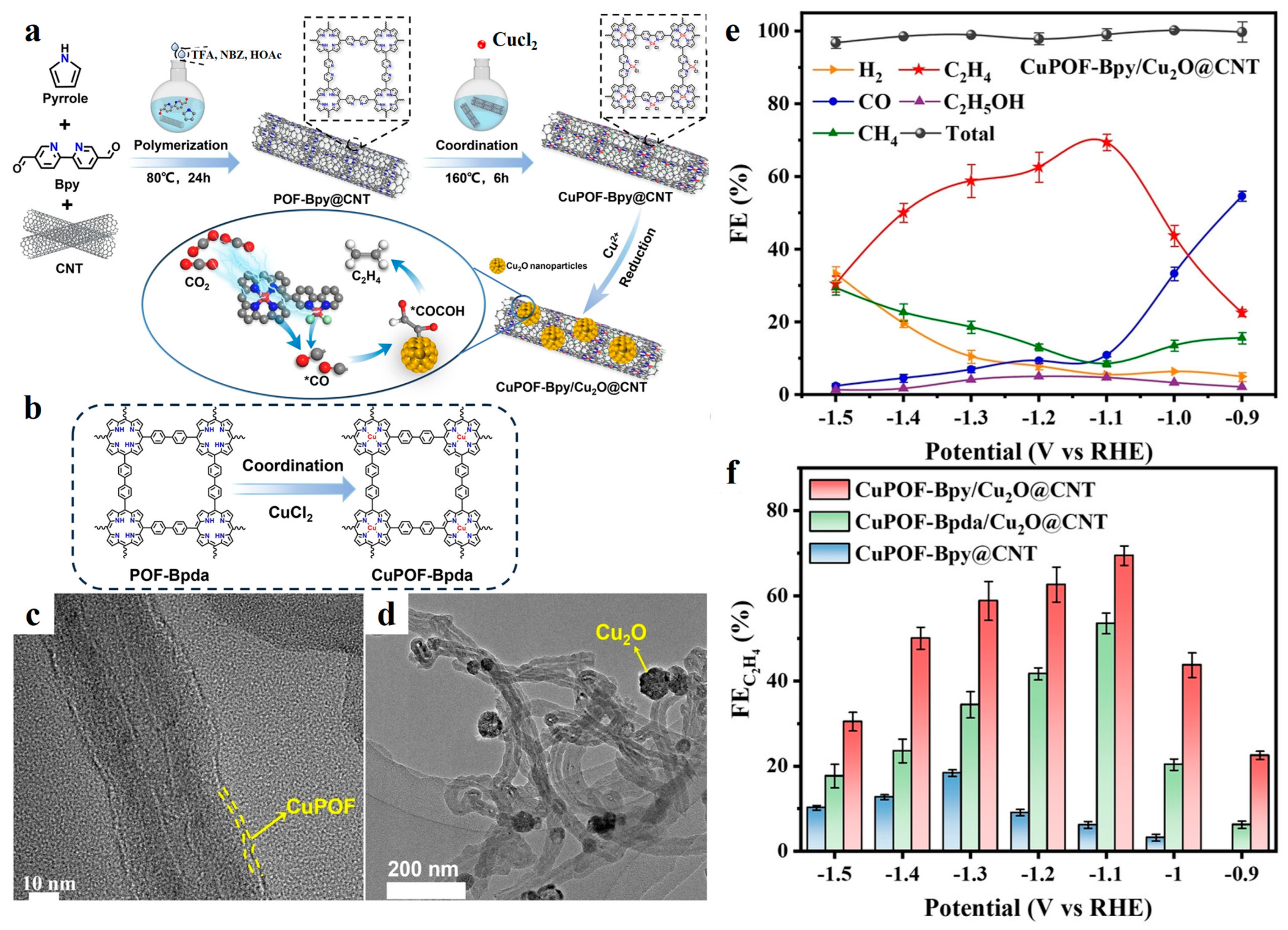Catalysts 15 00328 g004