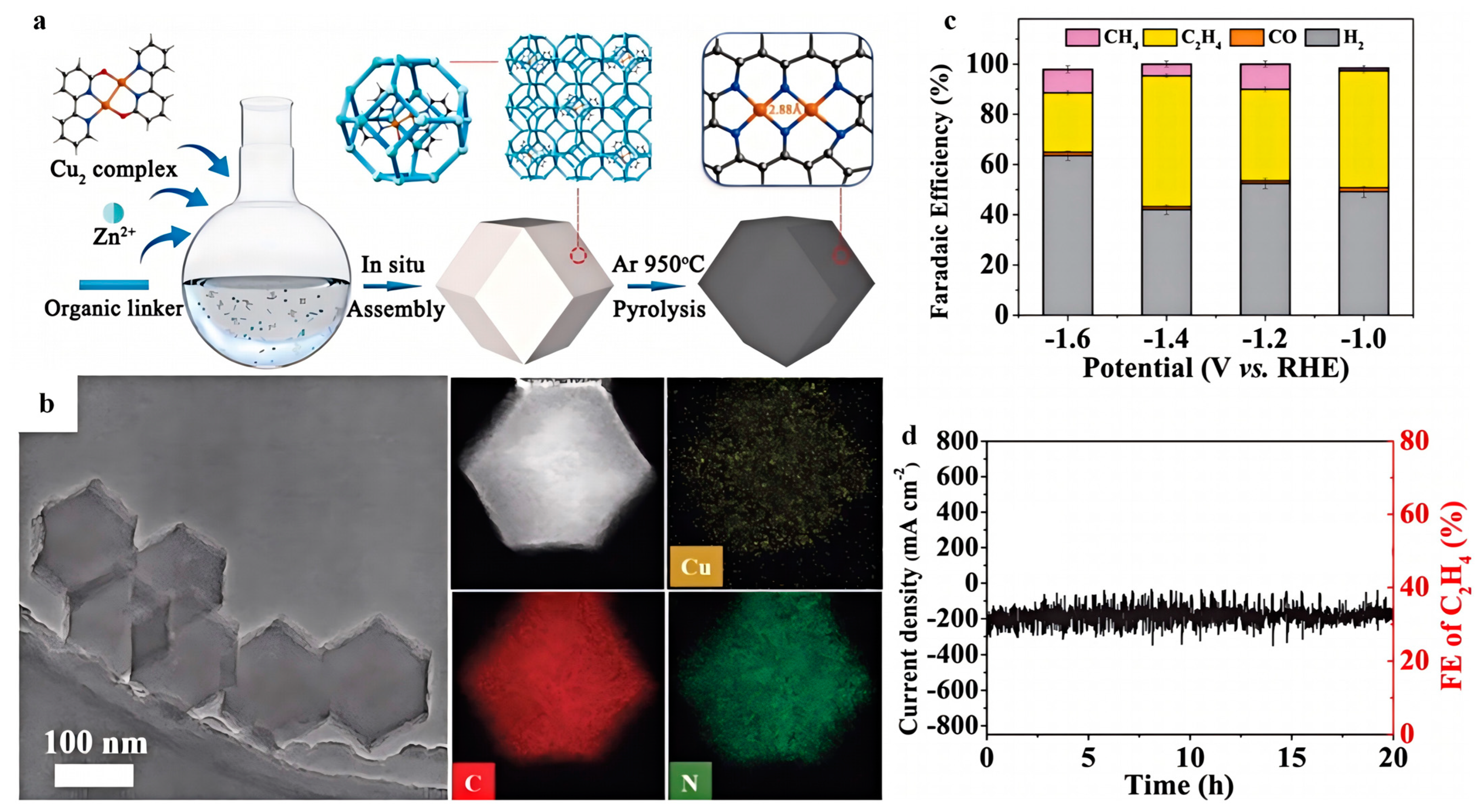 Catalysts 15 00328 g007