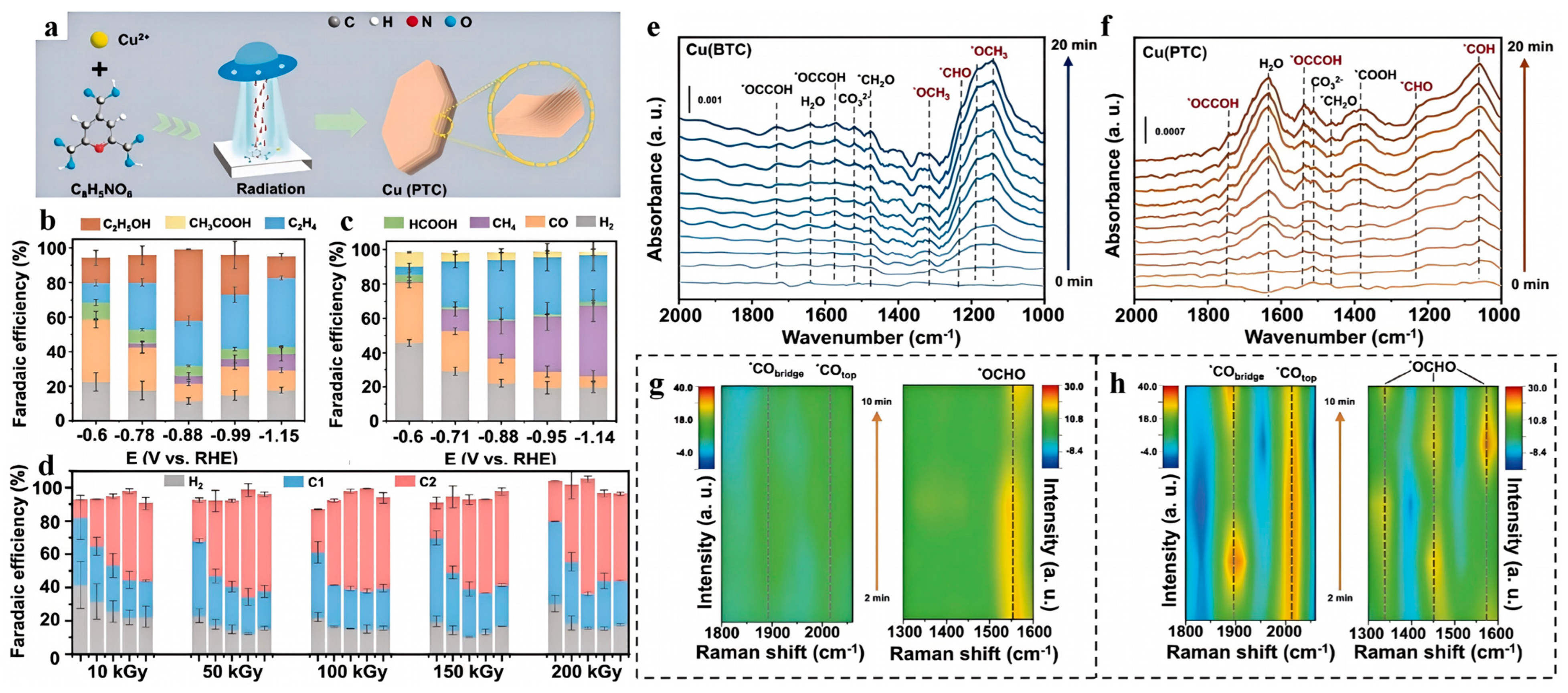 Catalysts 15 00328 g008