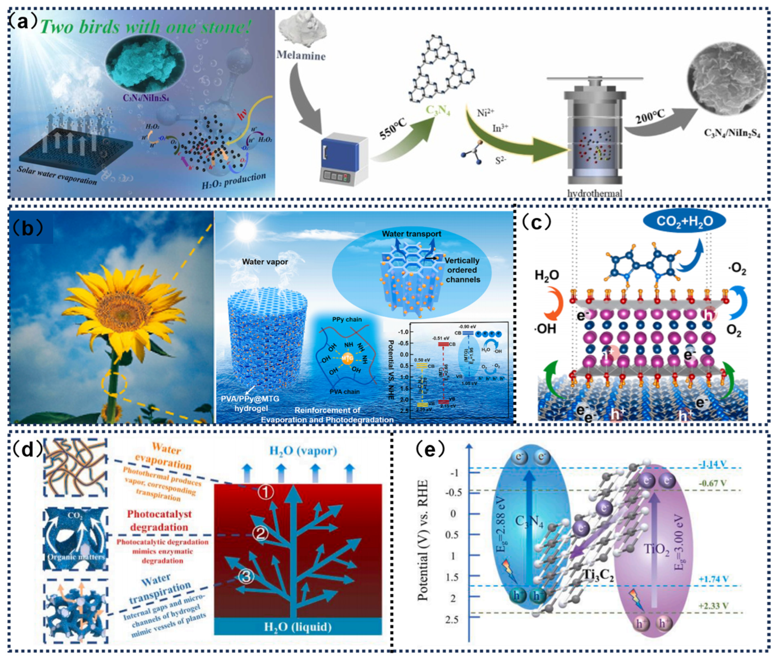 Catalysts 15 00336 g004