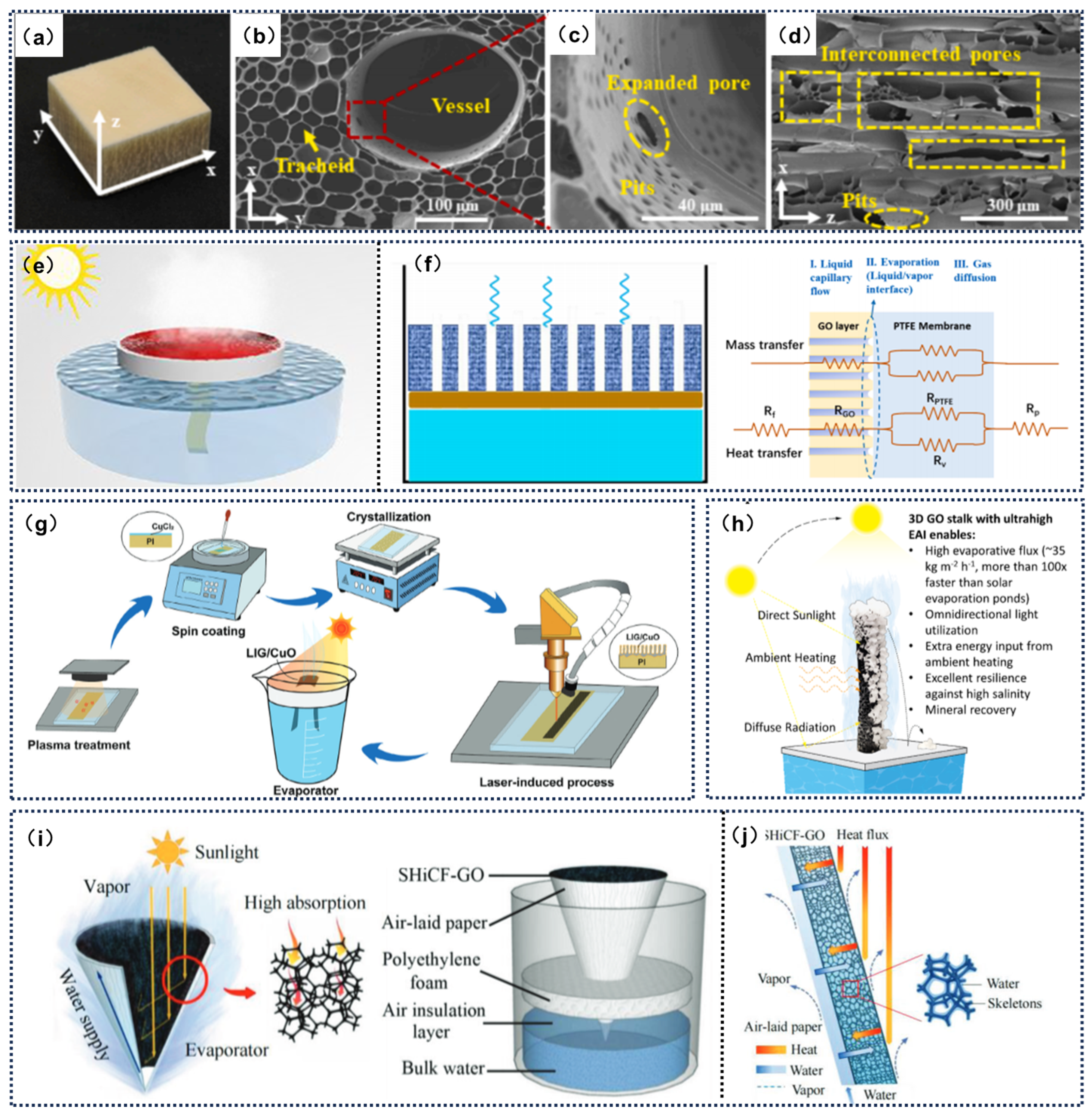 Catalysts 15 00336 g009