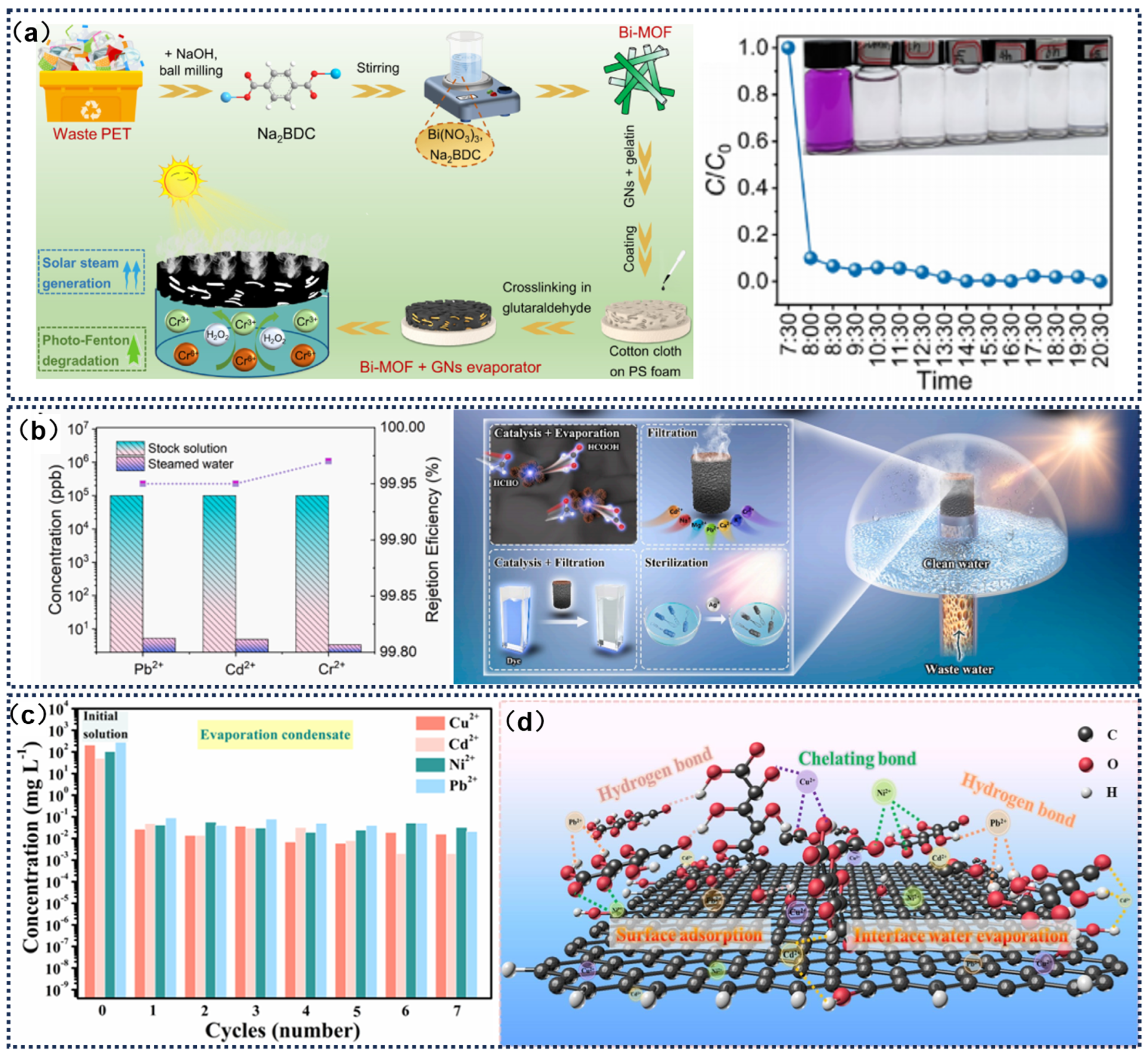 Catalysts 15 00336 g011