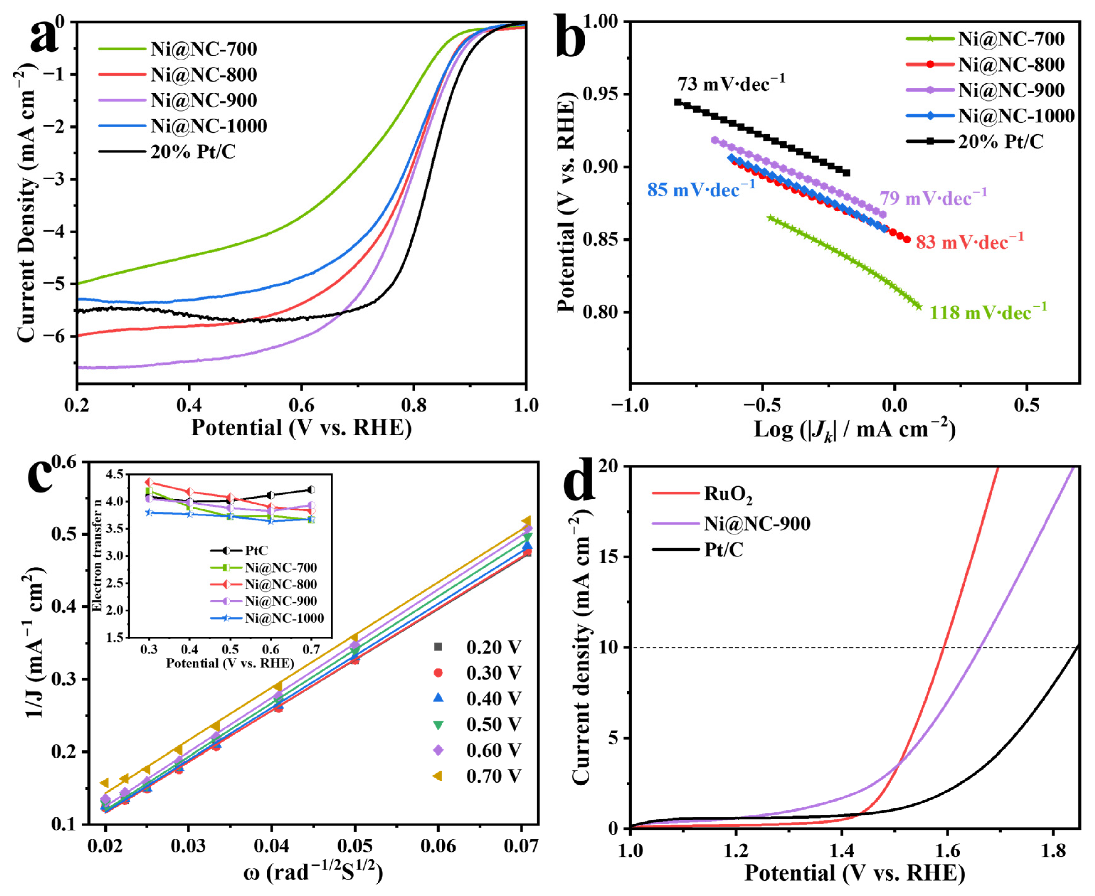 Catalysts 15 00338 g005