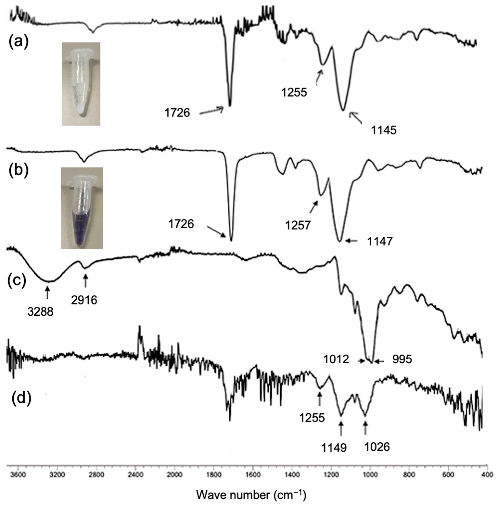 Catalysts 15 00339 g002