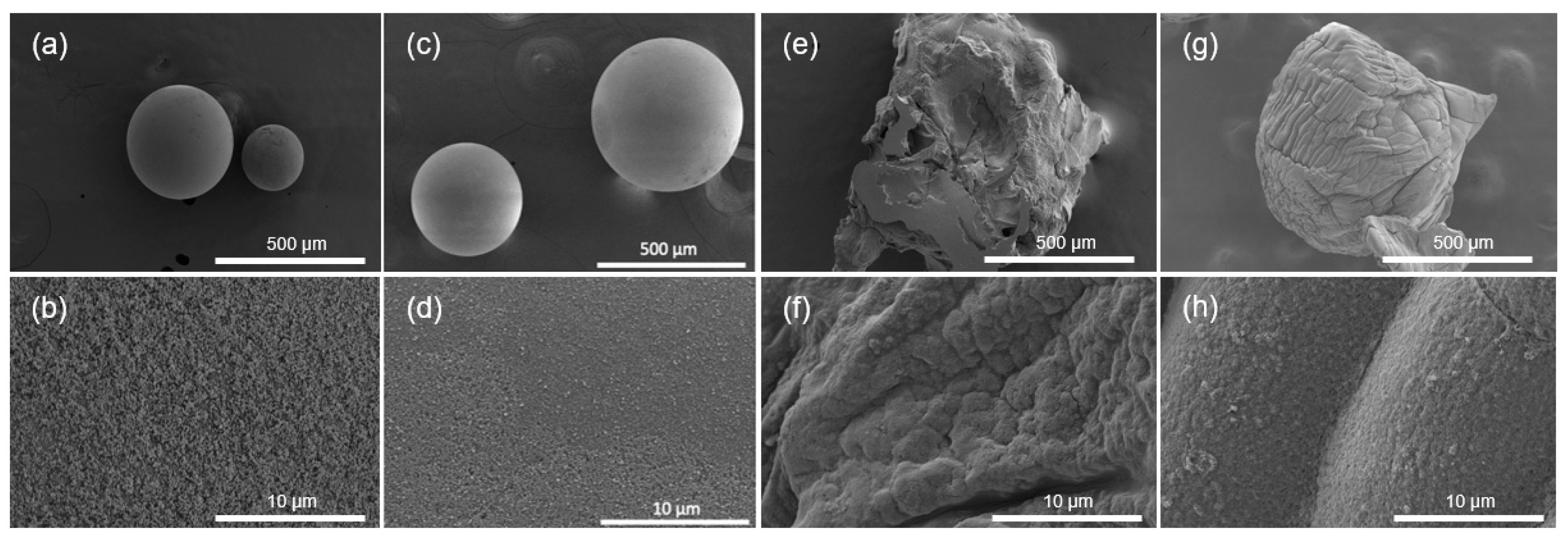 Catalysts 15 00339 g003