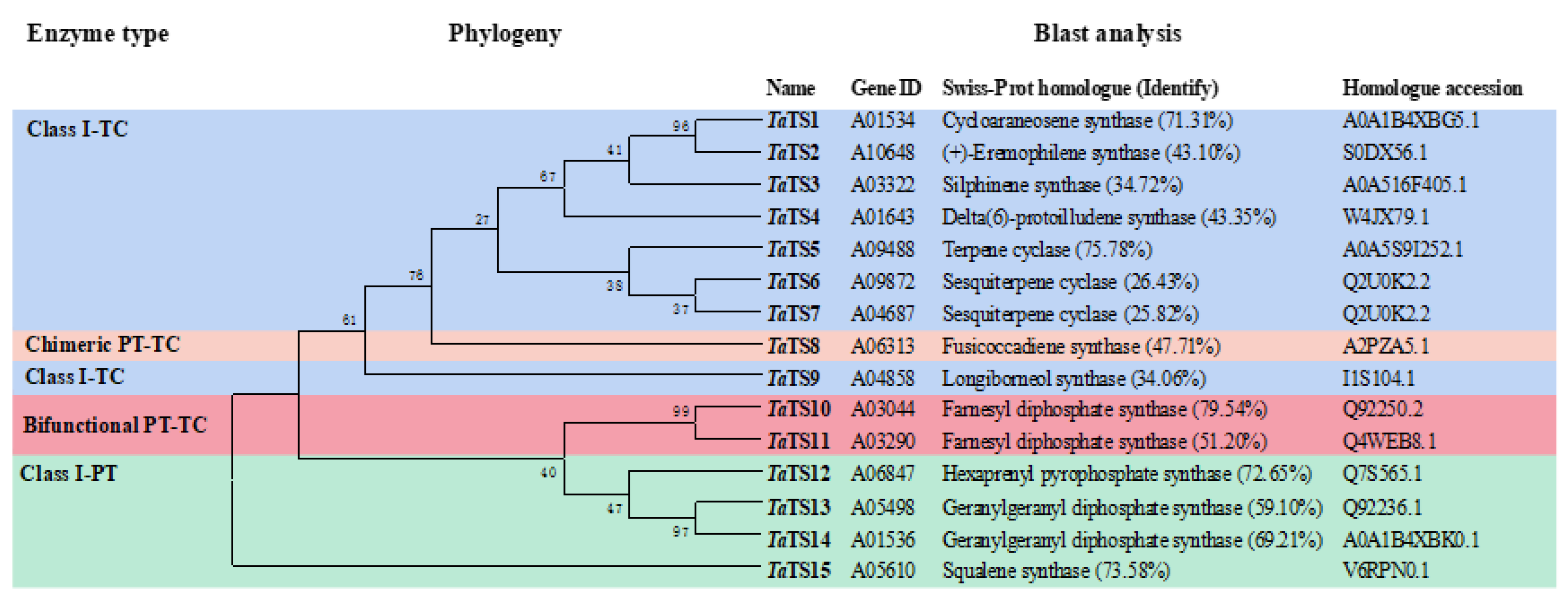 Catalysts 15 00341 g001