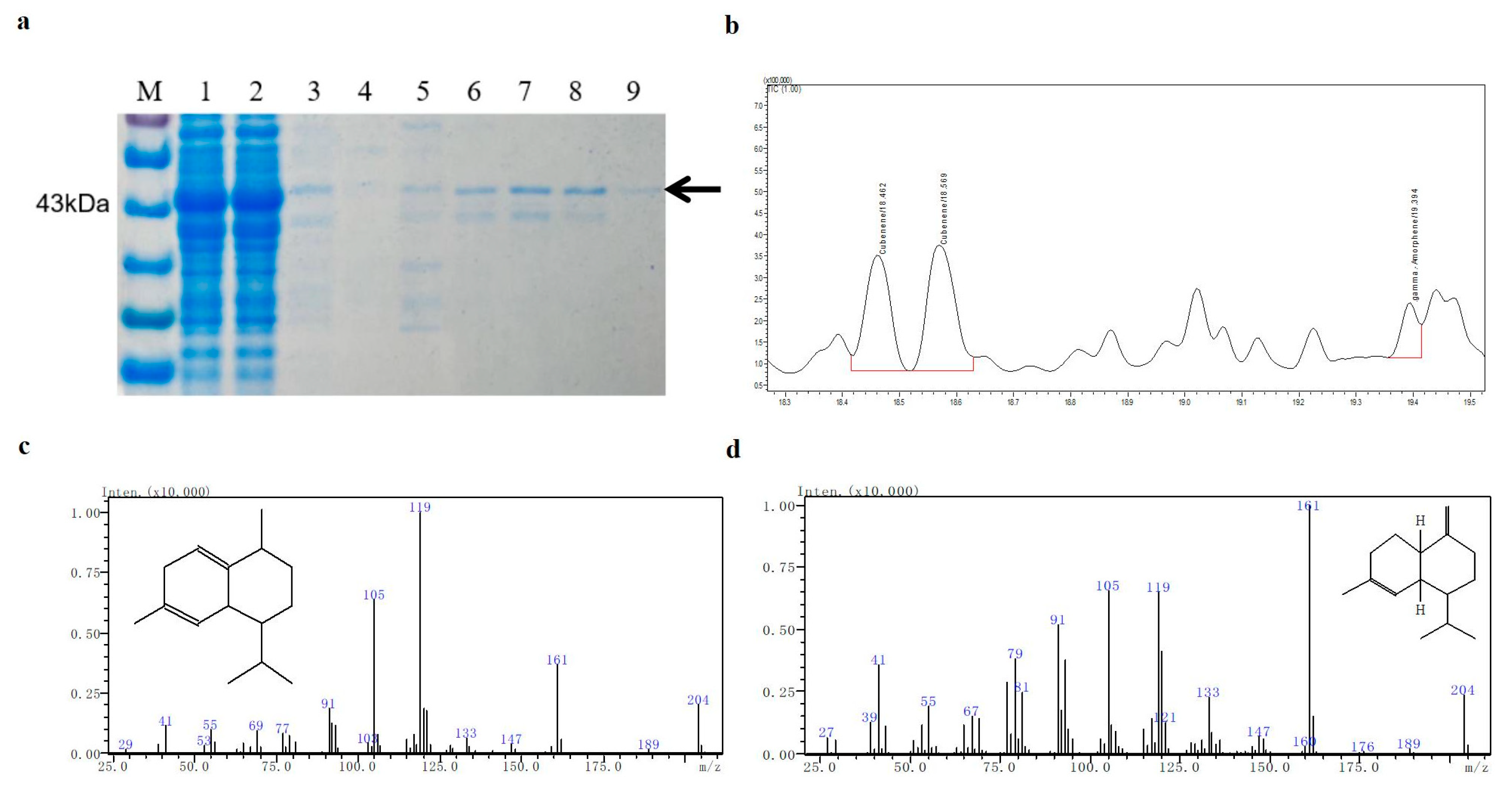 Catalysts 15 00341 g007