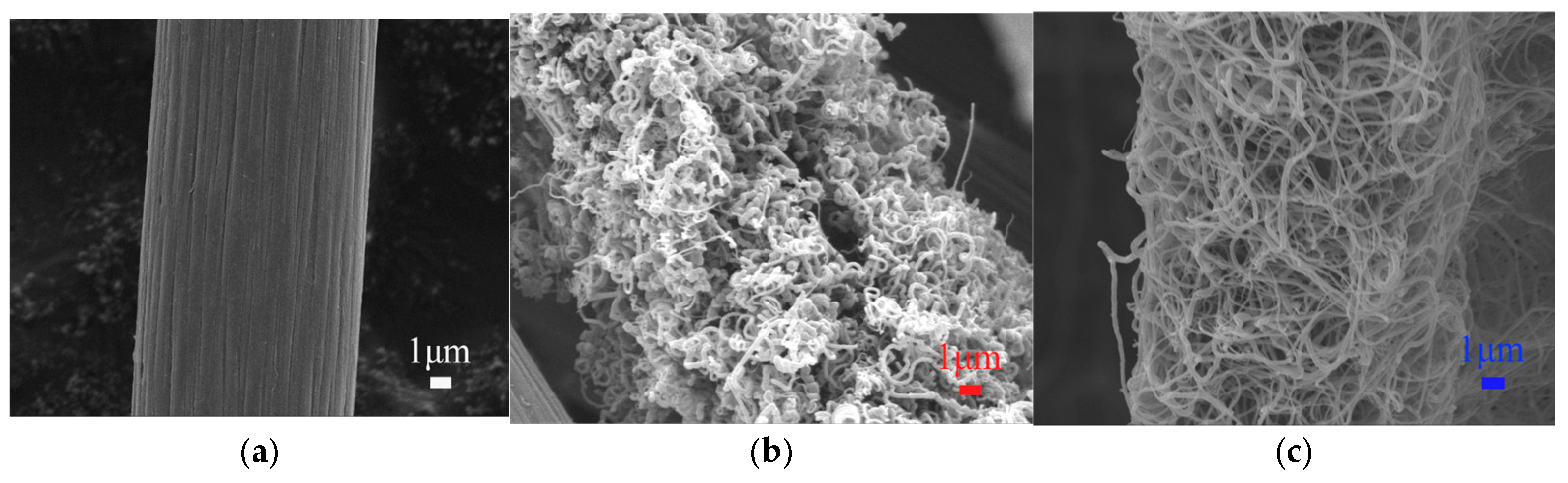 Catalysts 15 00345 g001