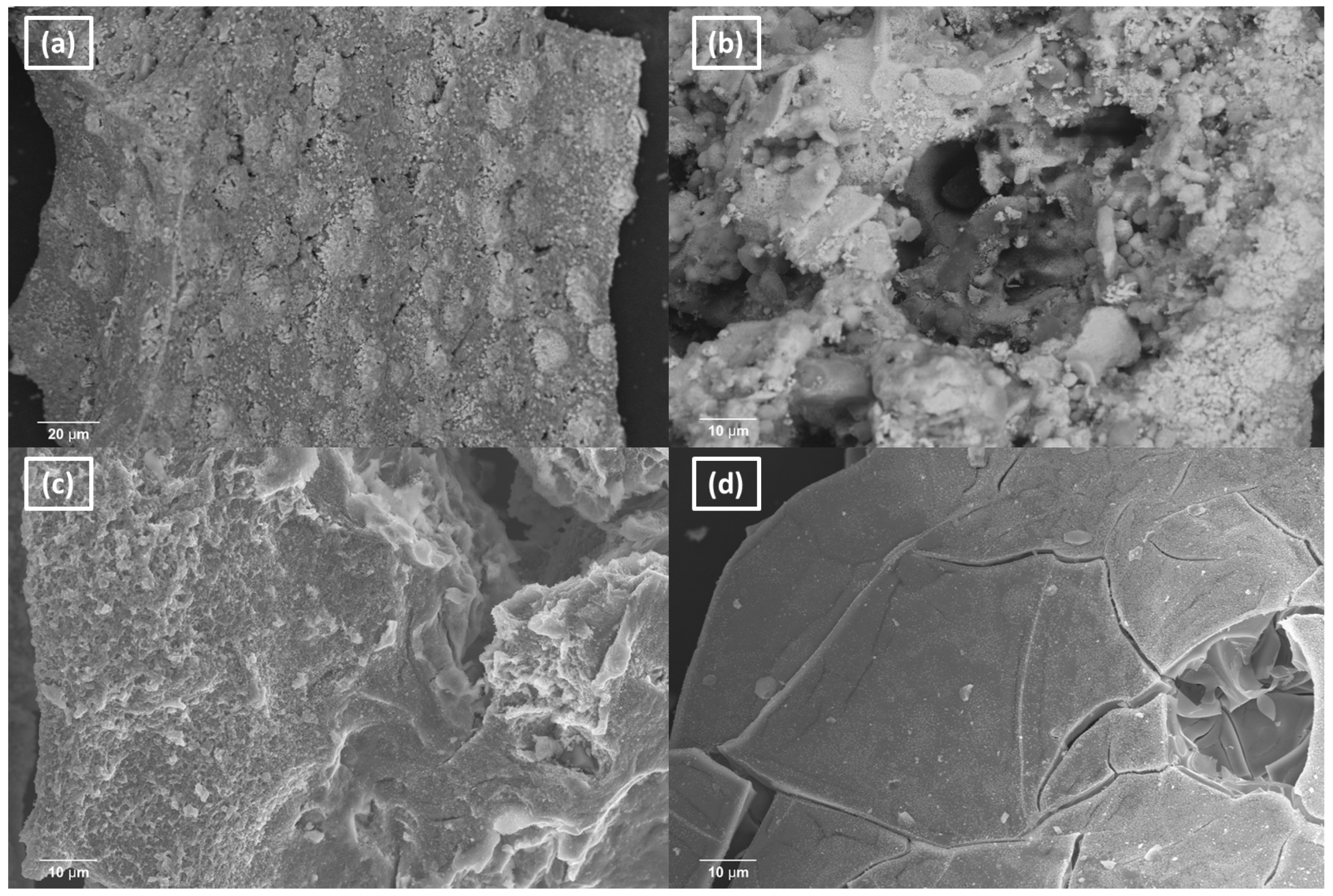 Catalysts 15 00348 g007