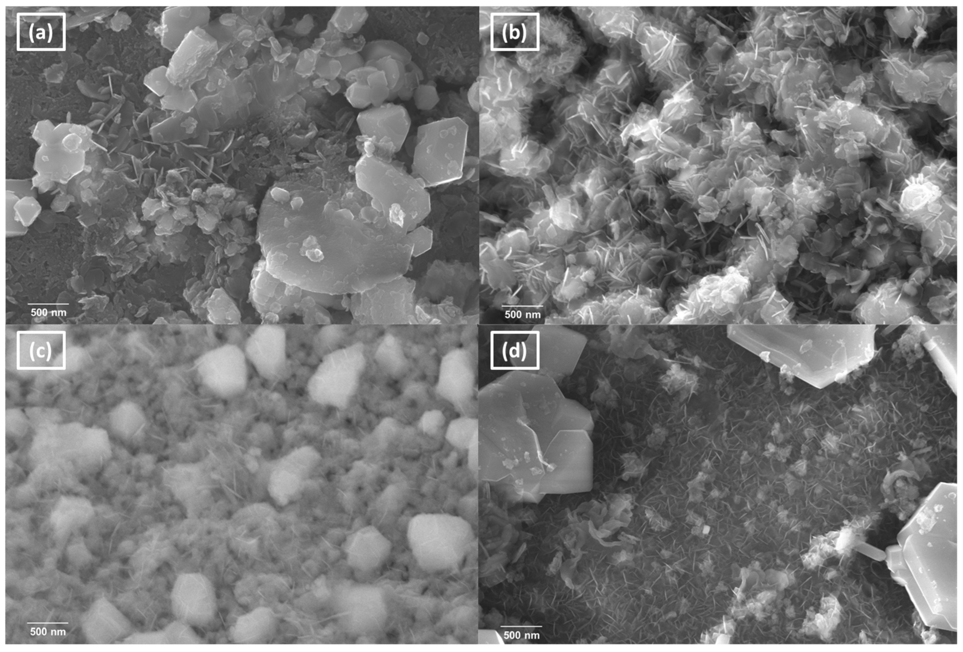 Catalysts 15 00348 g008