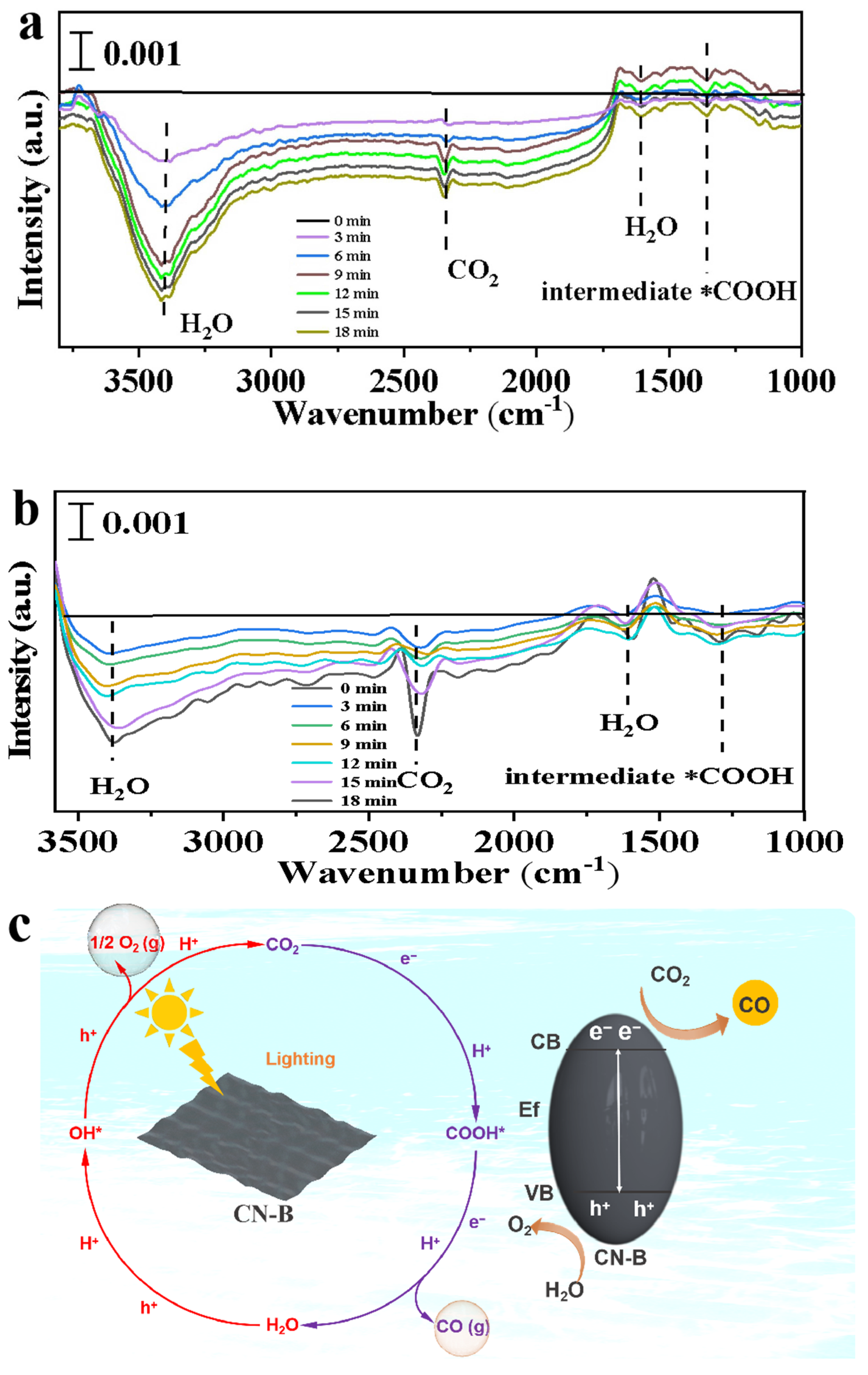Catalysts 15 00349 g007