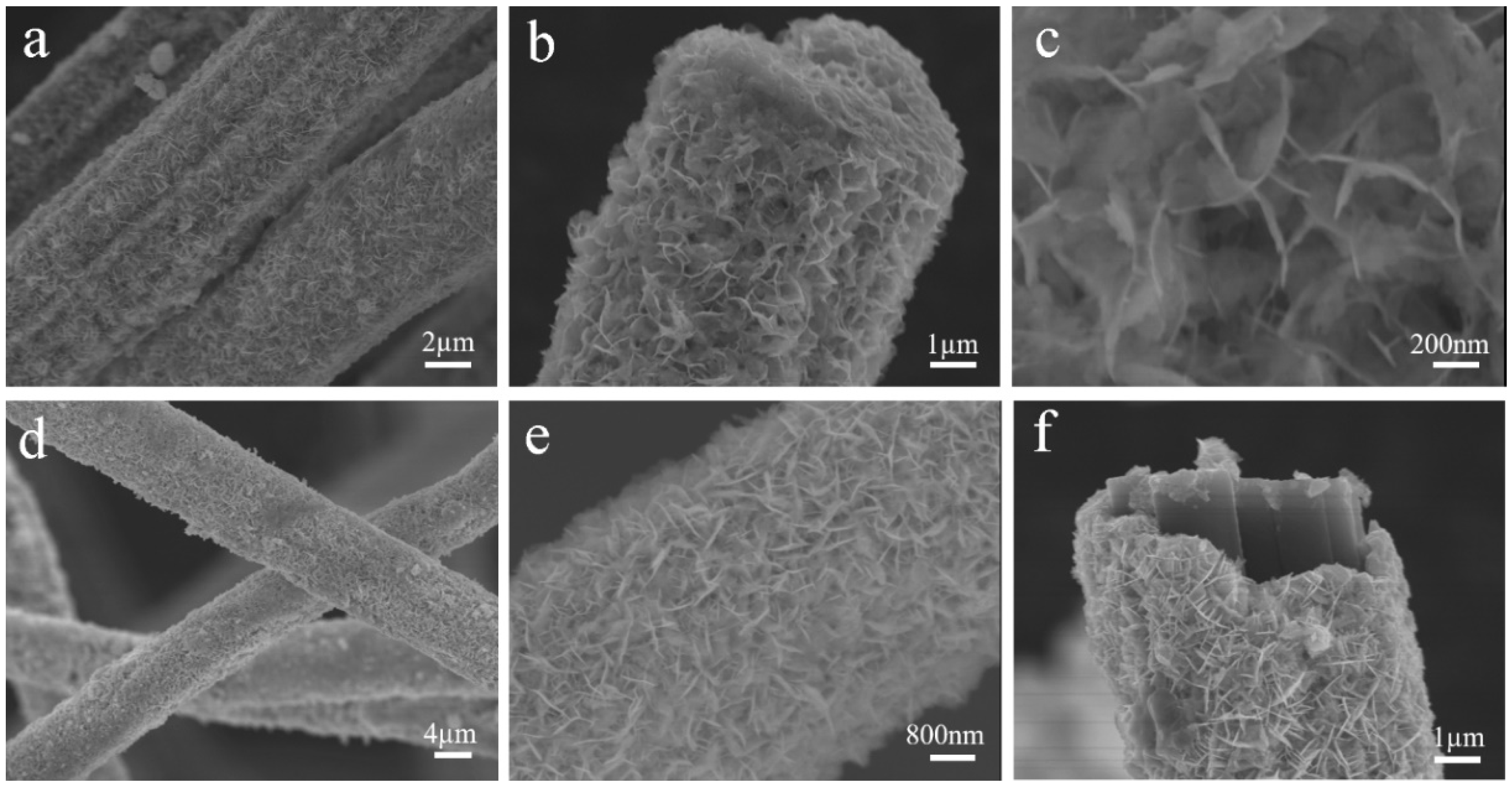 Catalysts 15 00350 g002