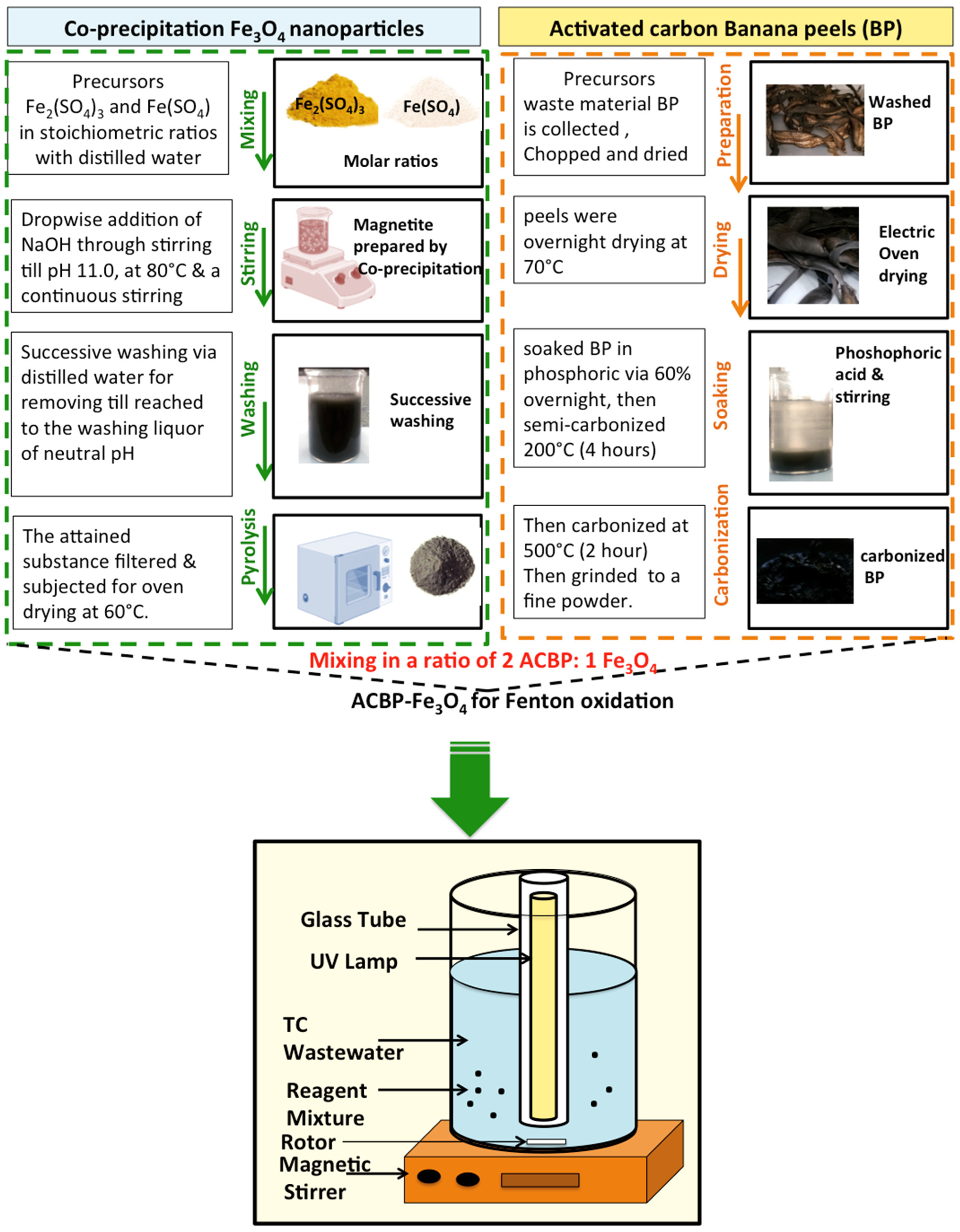 Catalysts 15 00351 g001 Catalysts 15 00351 g001