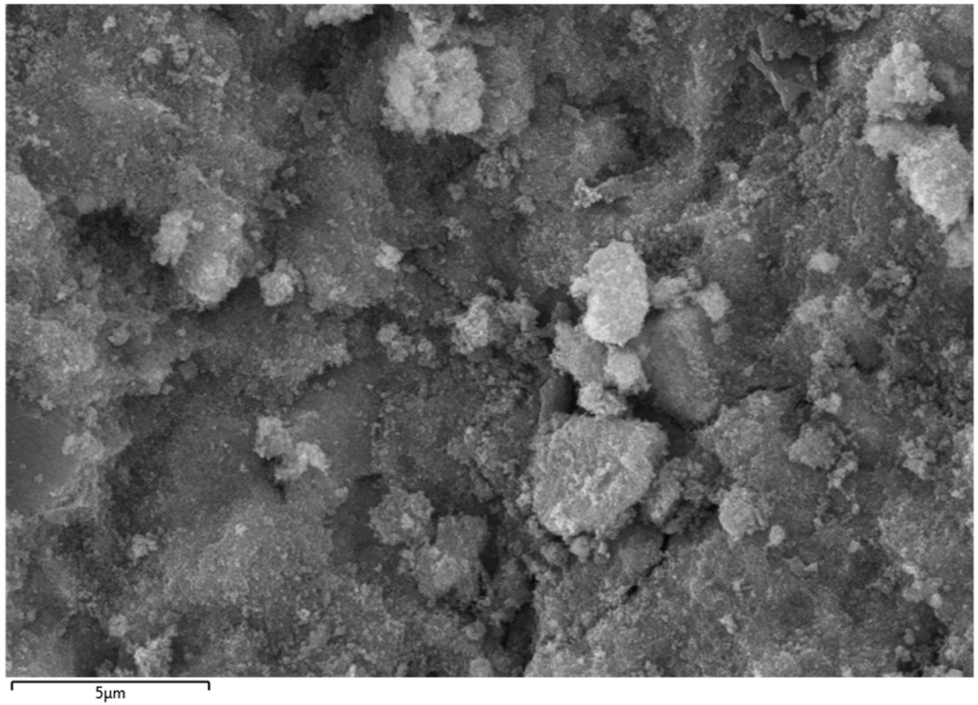 Catalysts 15 00351 g003 Catalysts 15 00351 g003