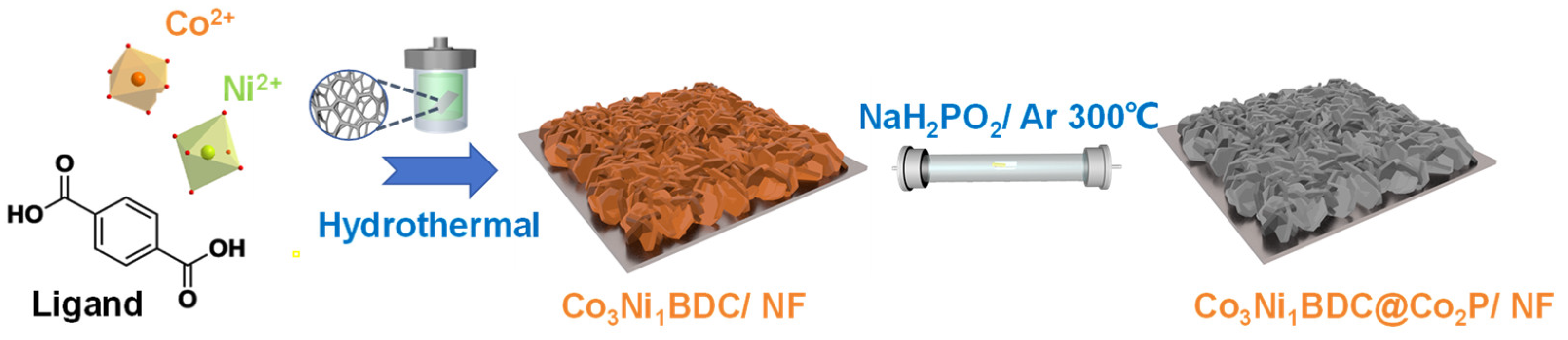 Catalysts 15 00355 sch001