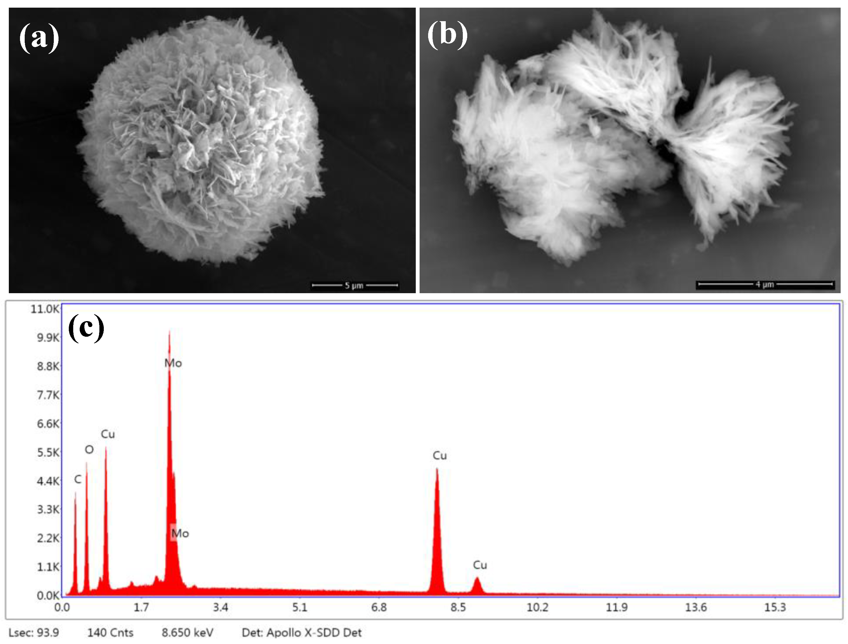 Catalysts 15 00357 g004
