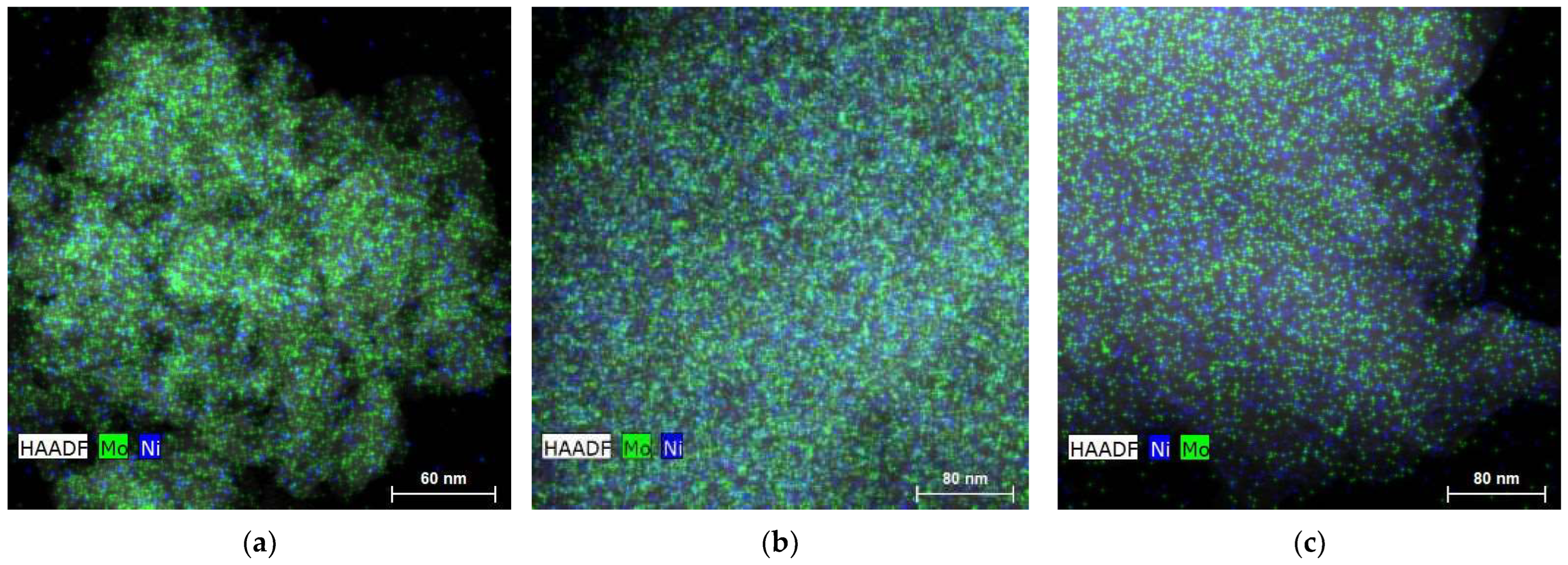 Catalysts 15 00359 g005