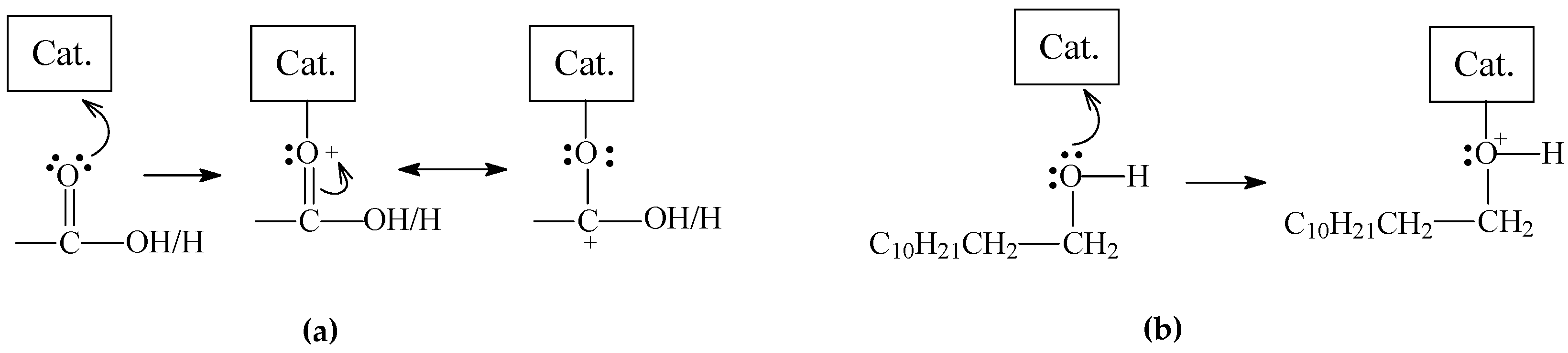 Catalysts 15 00359 g015