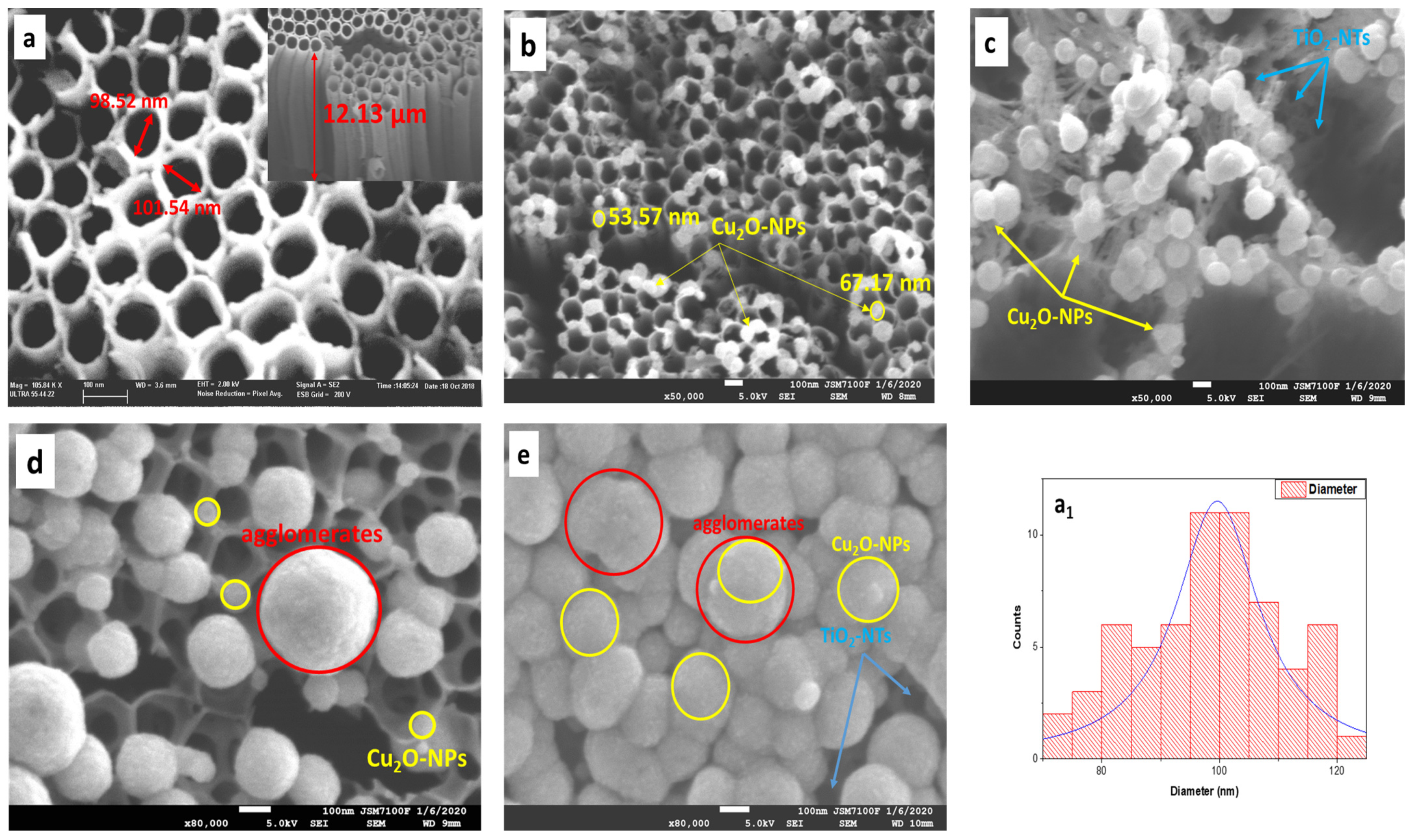 Catalysts 15 00360 g001a