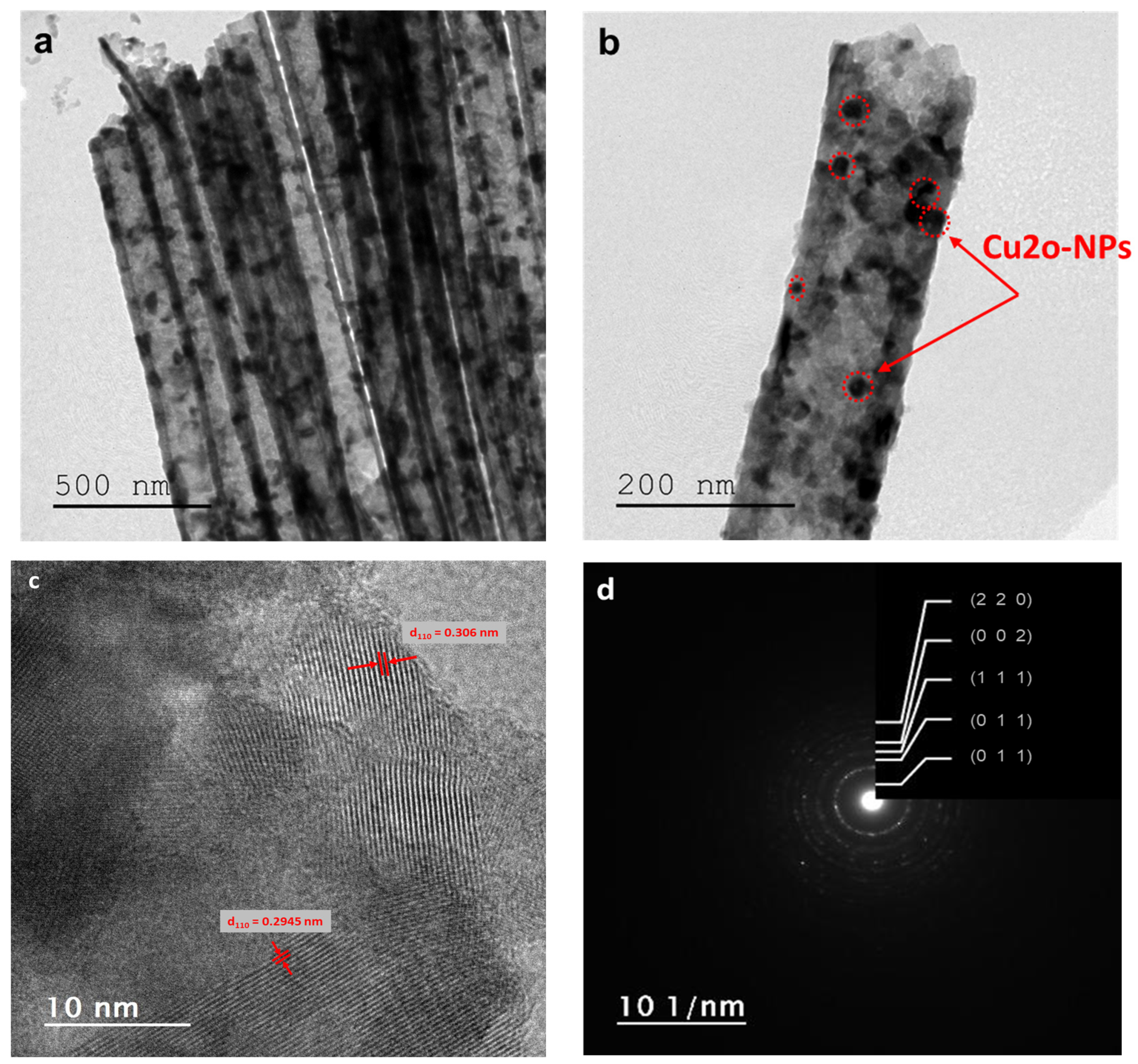 Catalysts 15 00360 g002