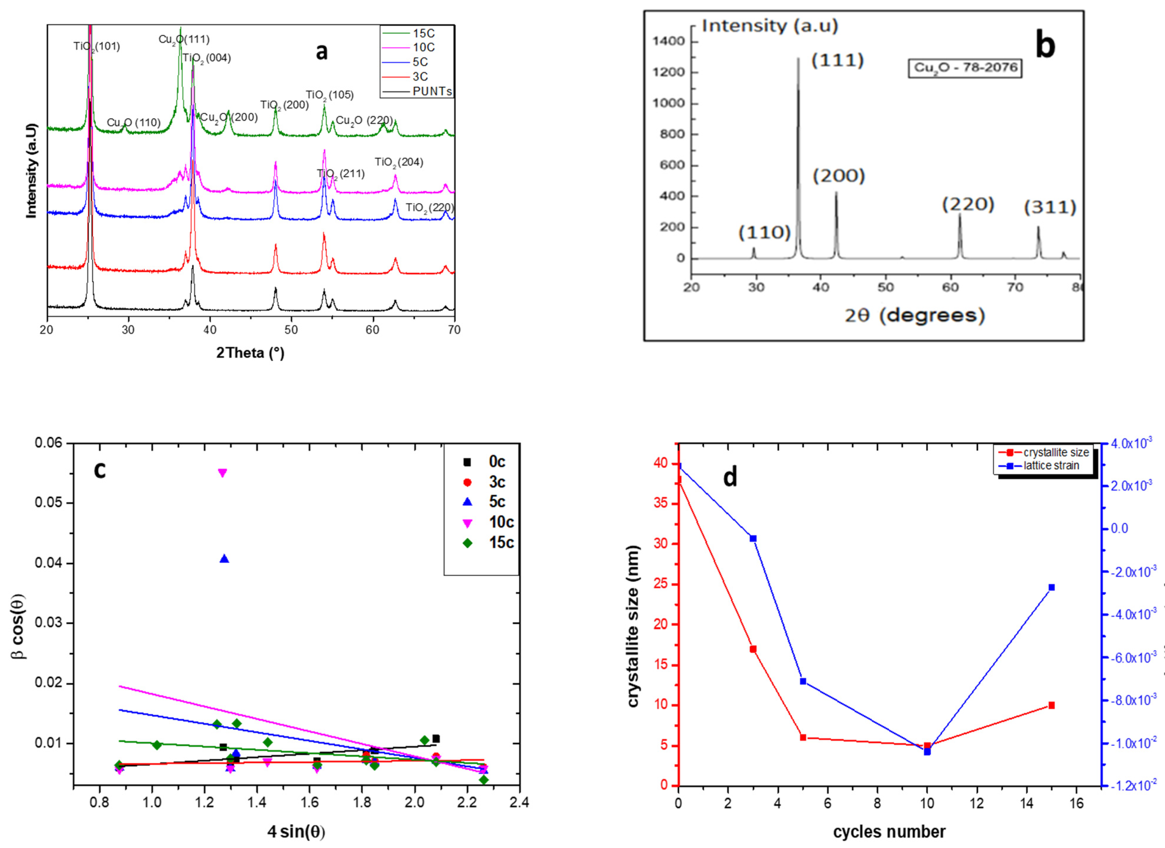 Catalysts 15 00360 g003