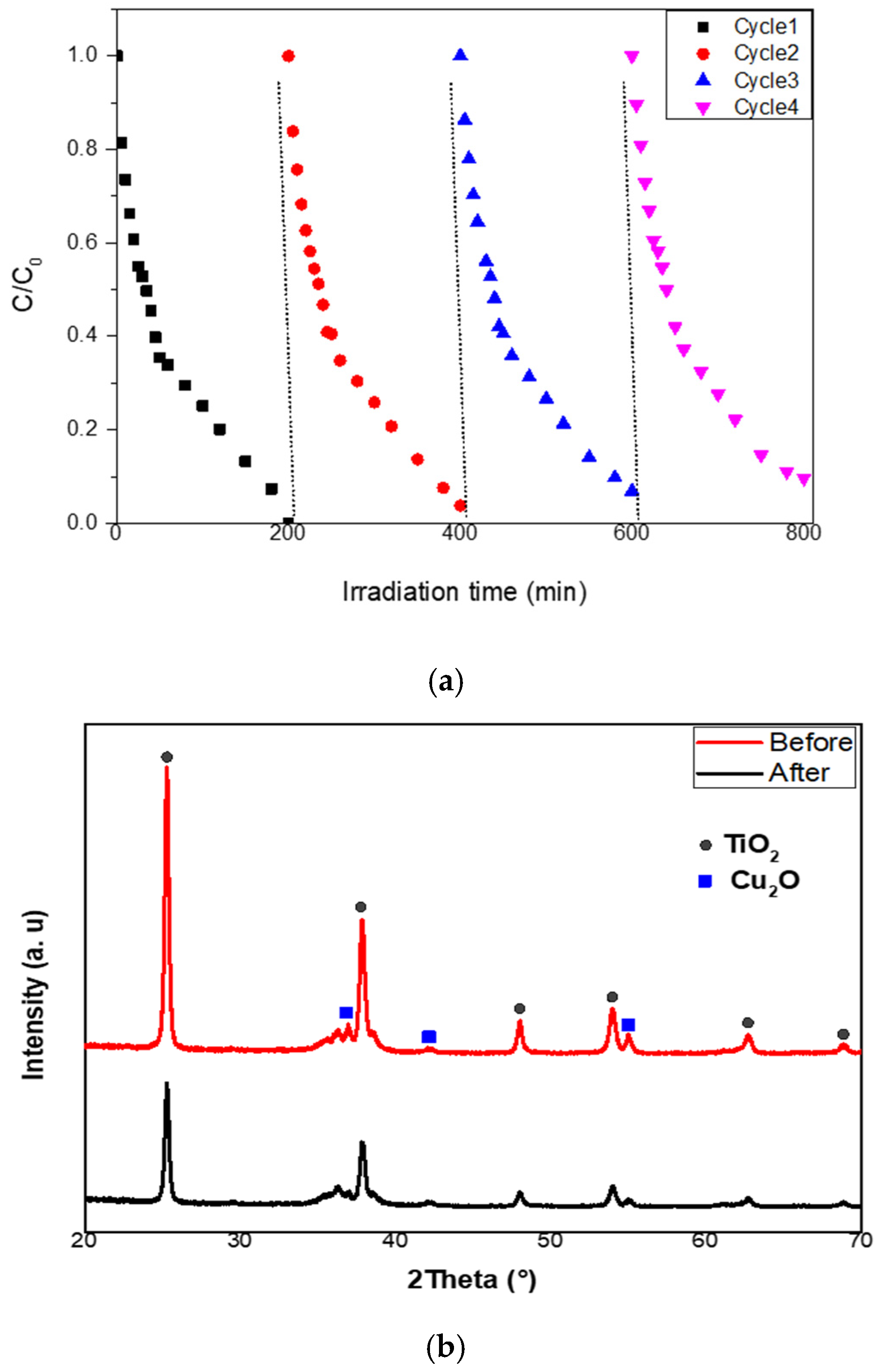 Catalysts 15 00360 g009