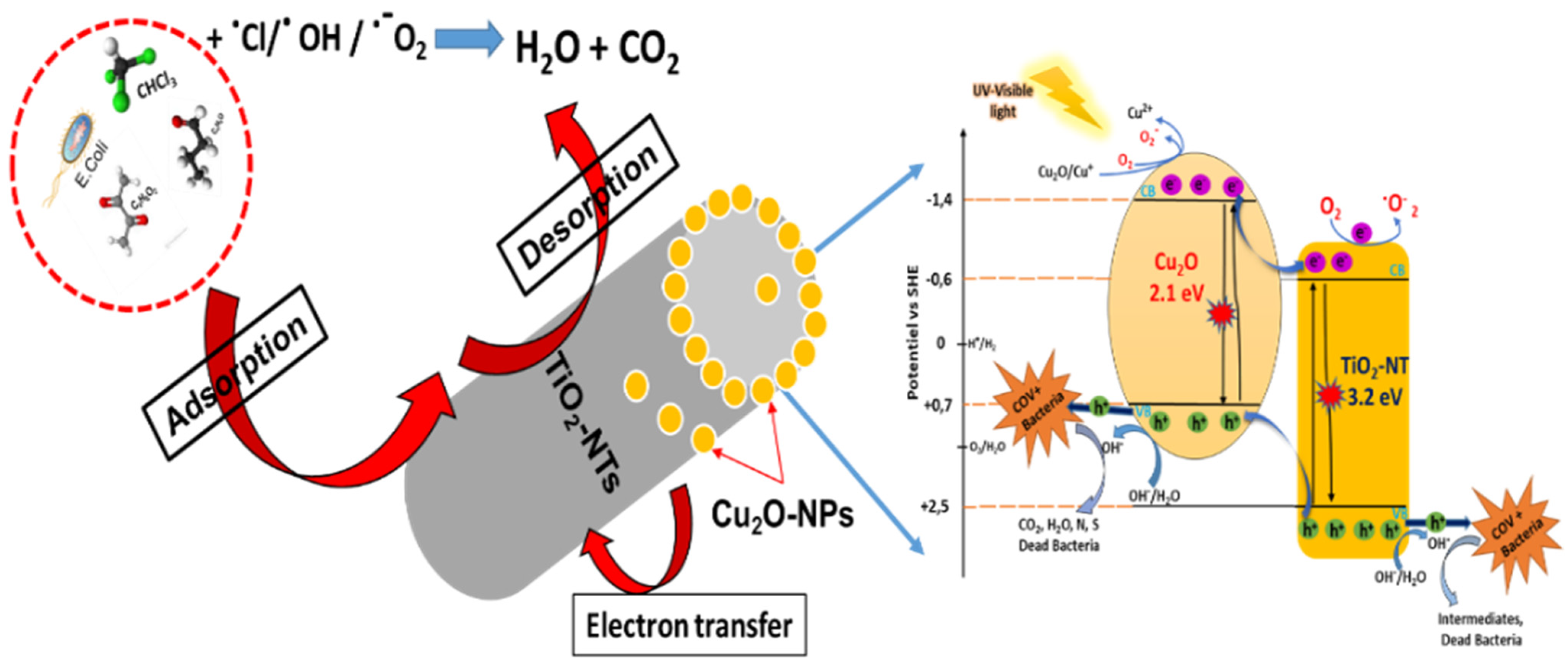 Catalysts 15 00360 g010