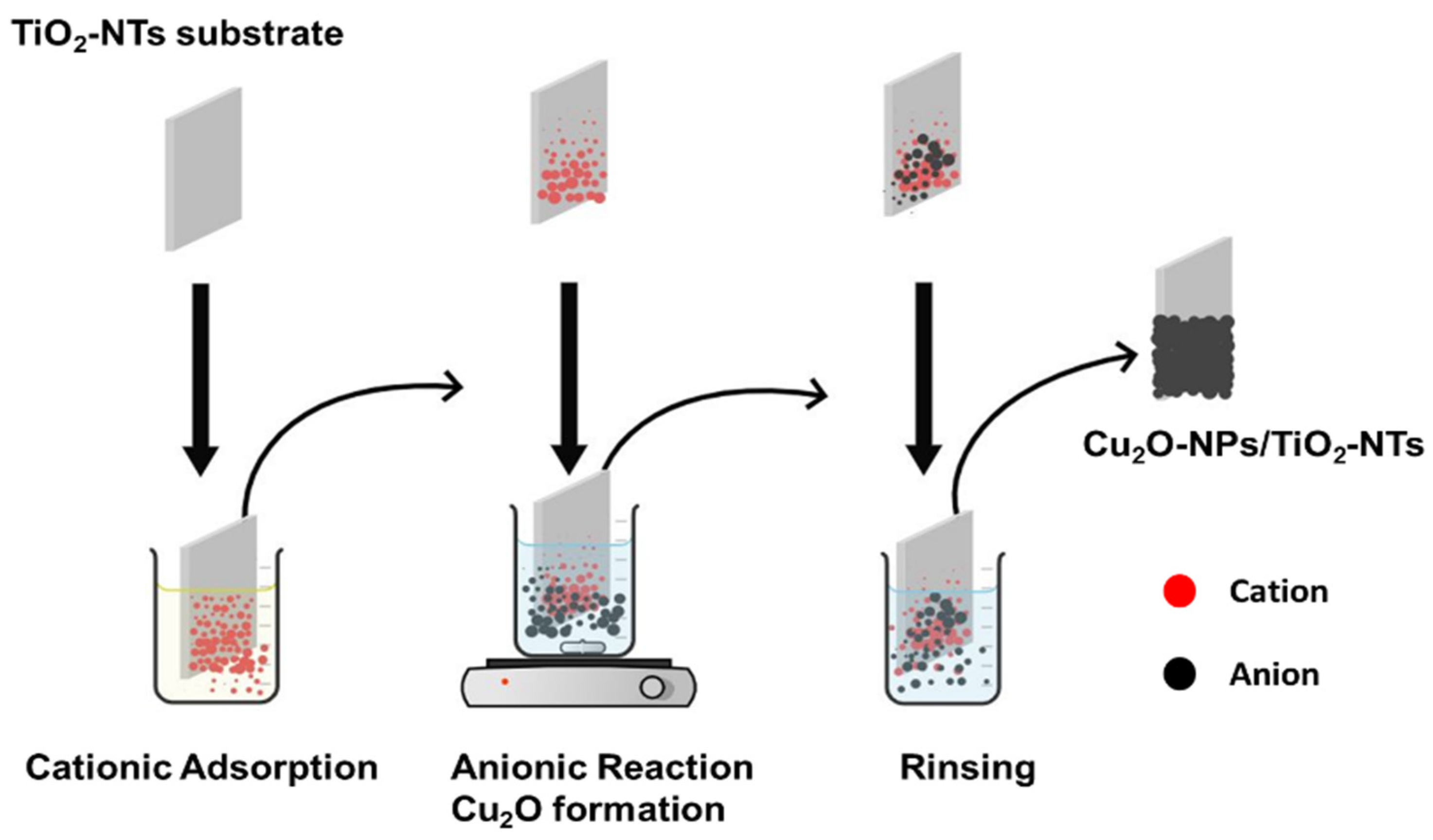 Catalysts 15 00360 g011
