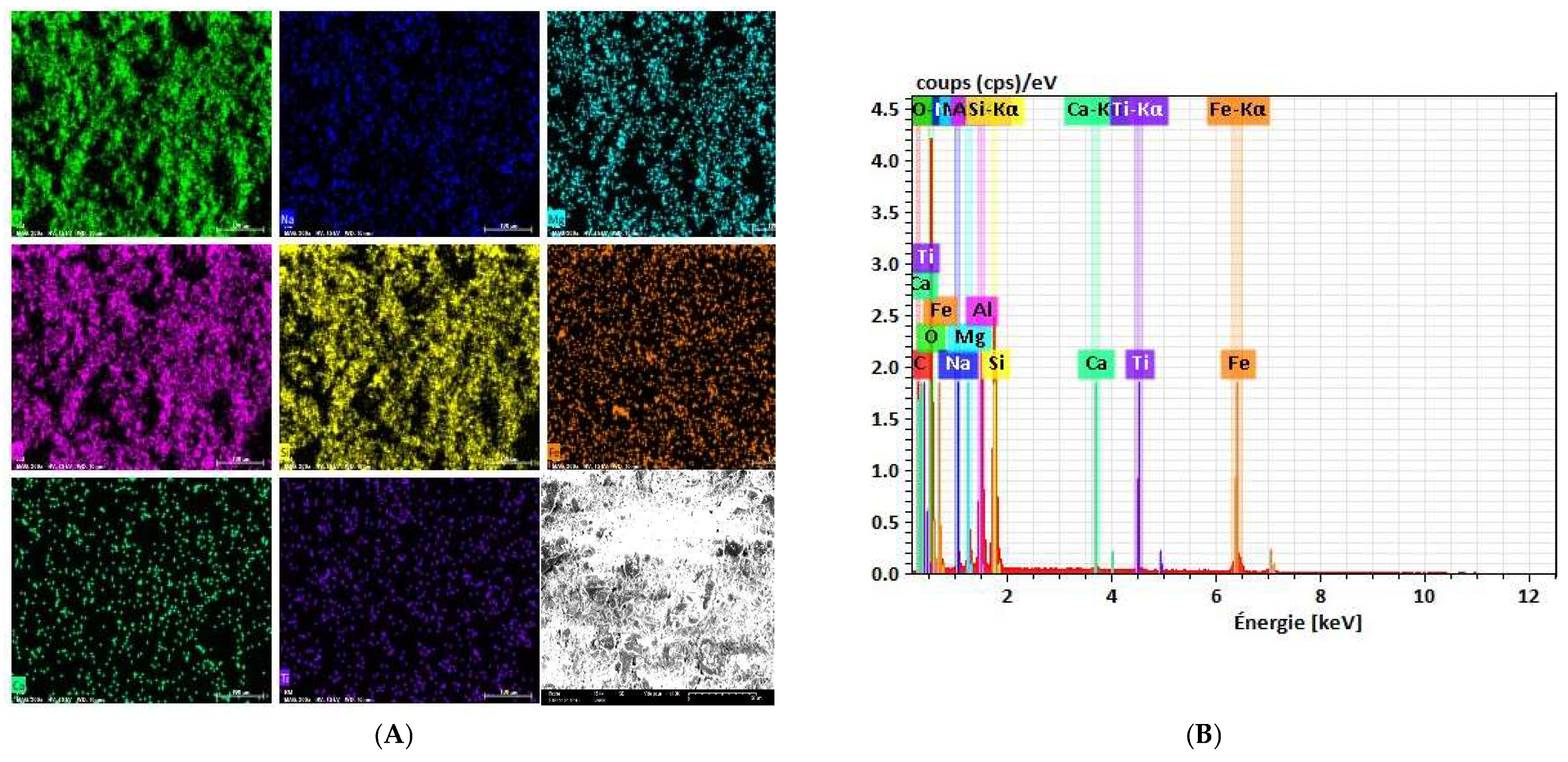 Catalysts 15 00363 g002